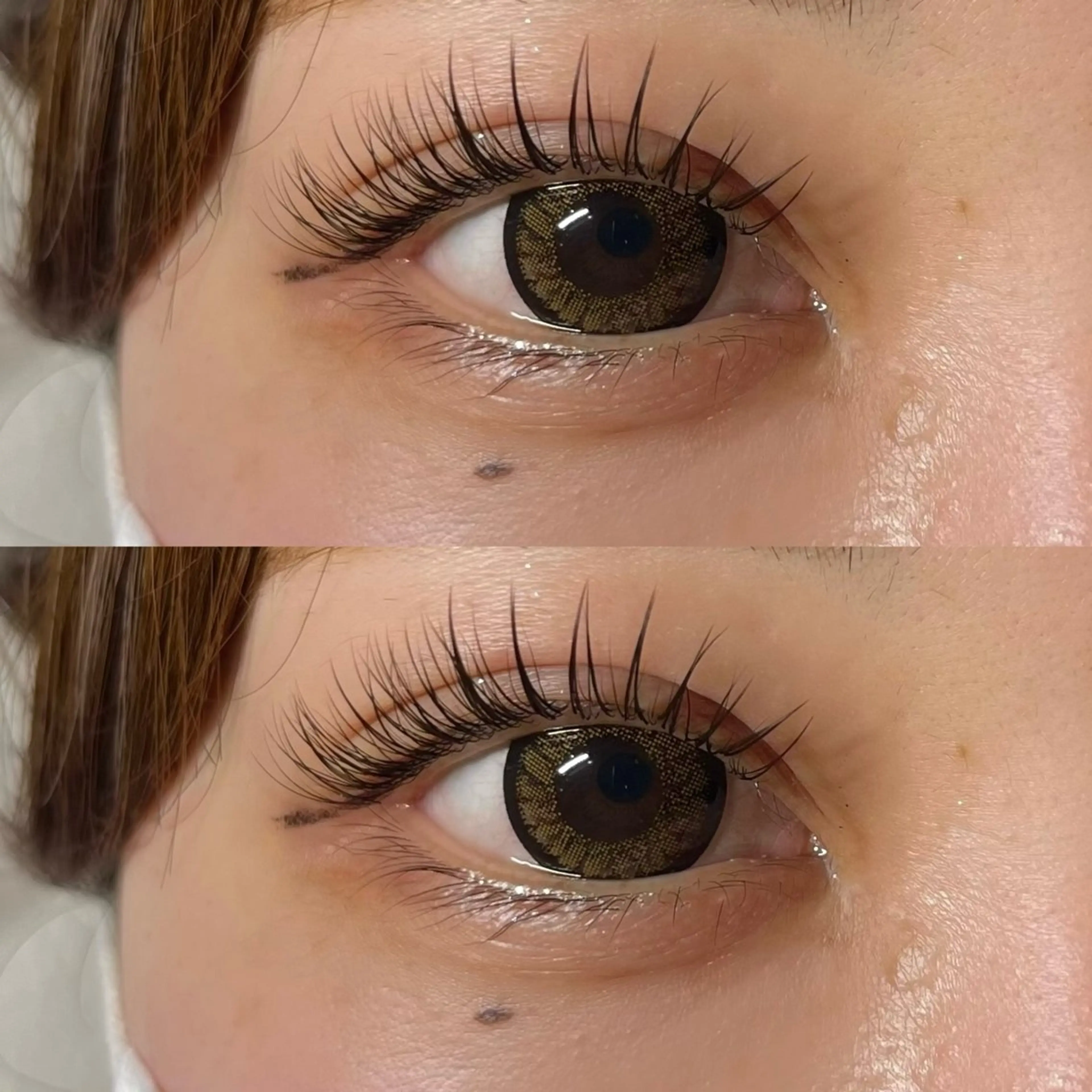 フラットマットラッシュ 120本の写真