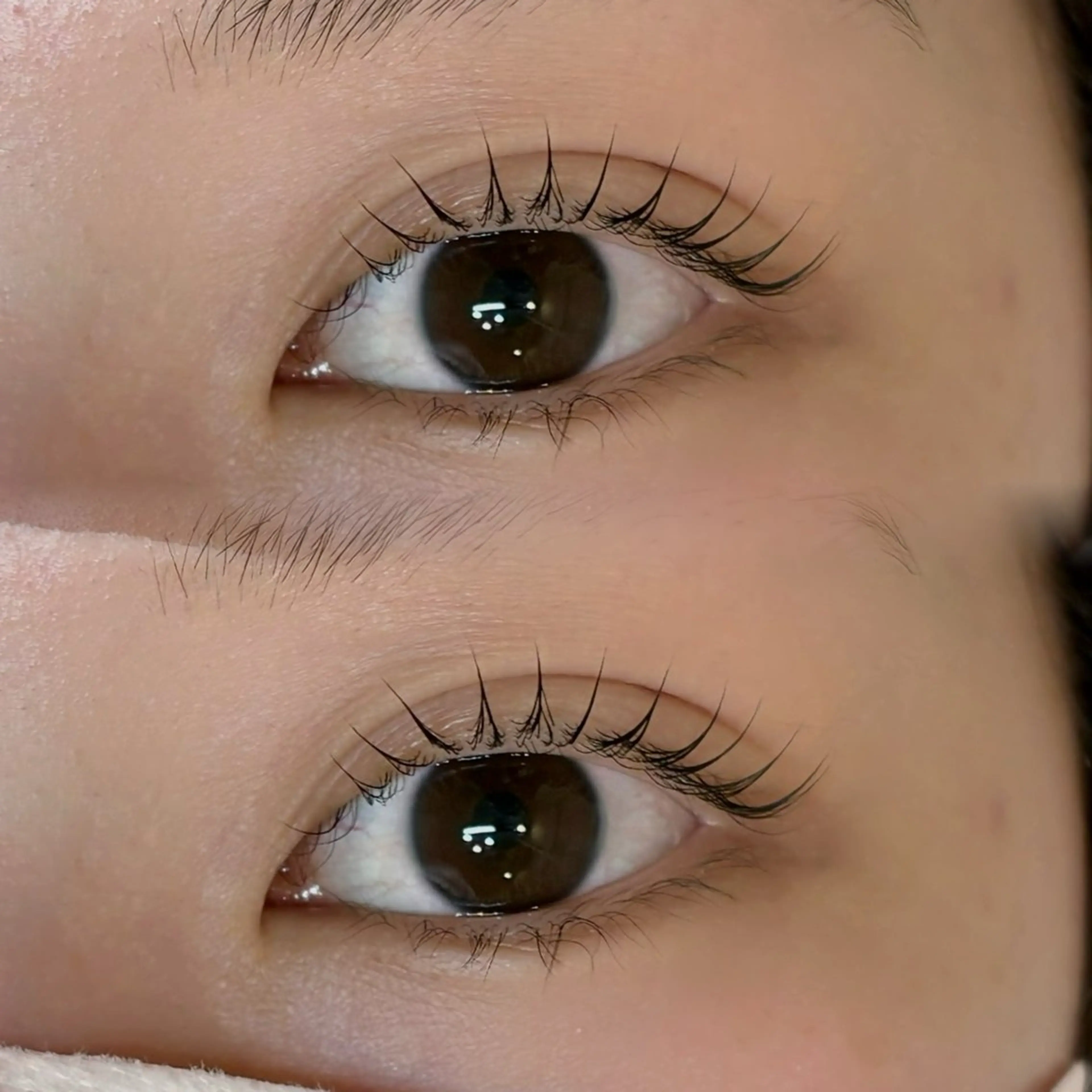 マツエク・マツパ 22+2 V1Let,s Eyebrow&Eye所属・v1Let,s cocoroのマツエク・マツパデザイン