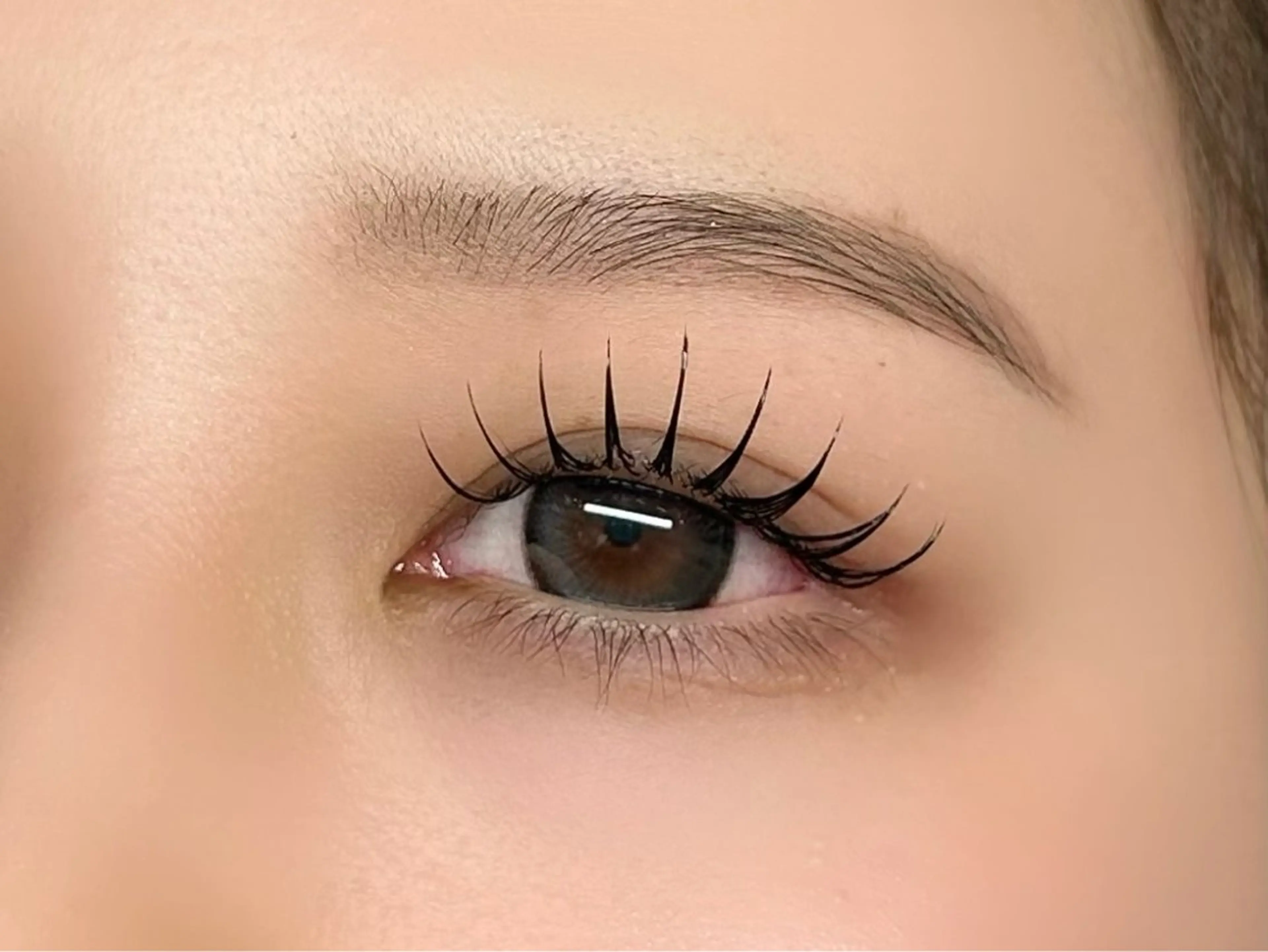 アンドヘルシー100本の写真