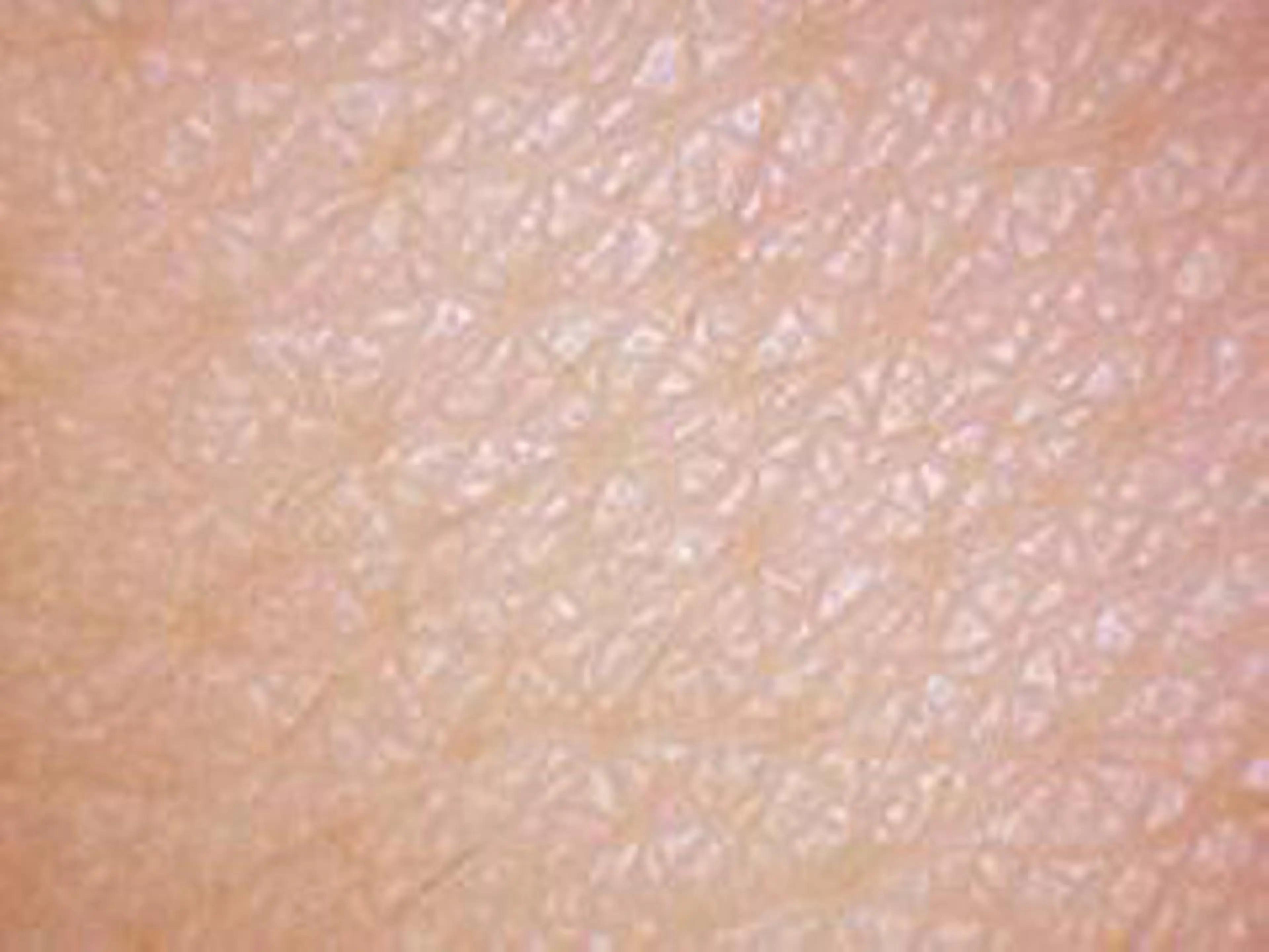 ＲＩＯＮ 〜リオン〜 ／    肌育サロンのエステ・リラクイメージ