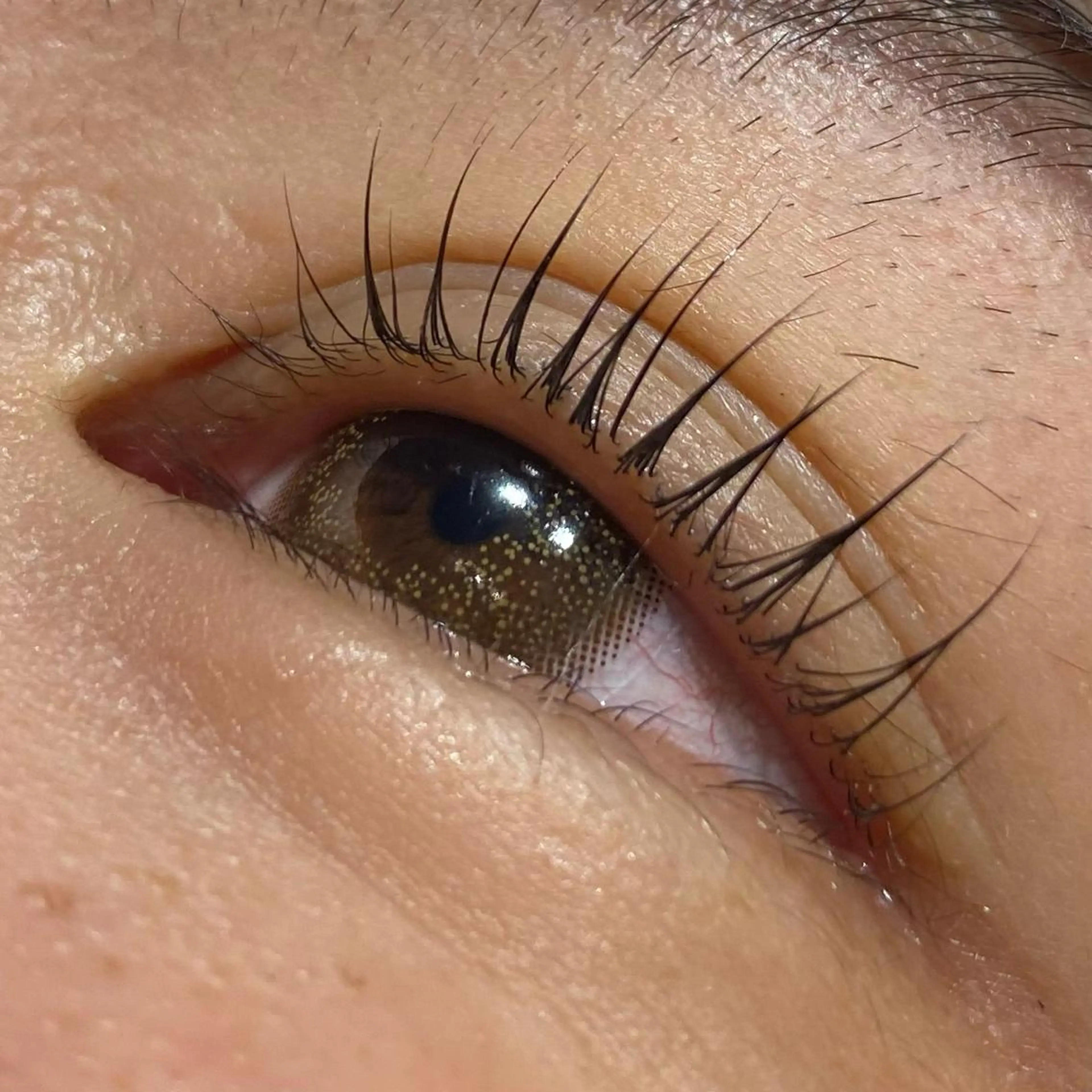 マツエク・マツパ メンズパーマ眉毛 特化アユム🔥のヘアスタイル