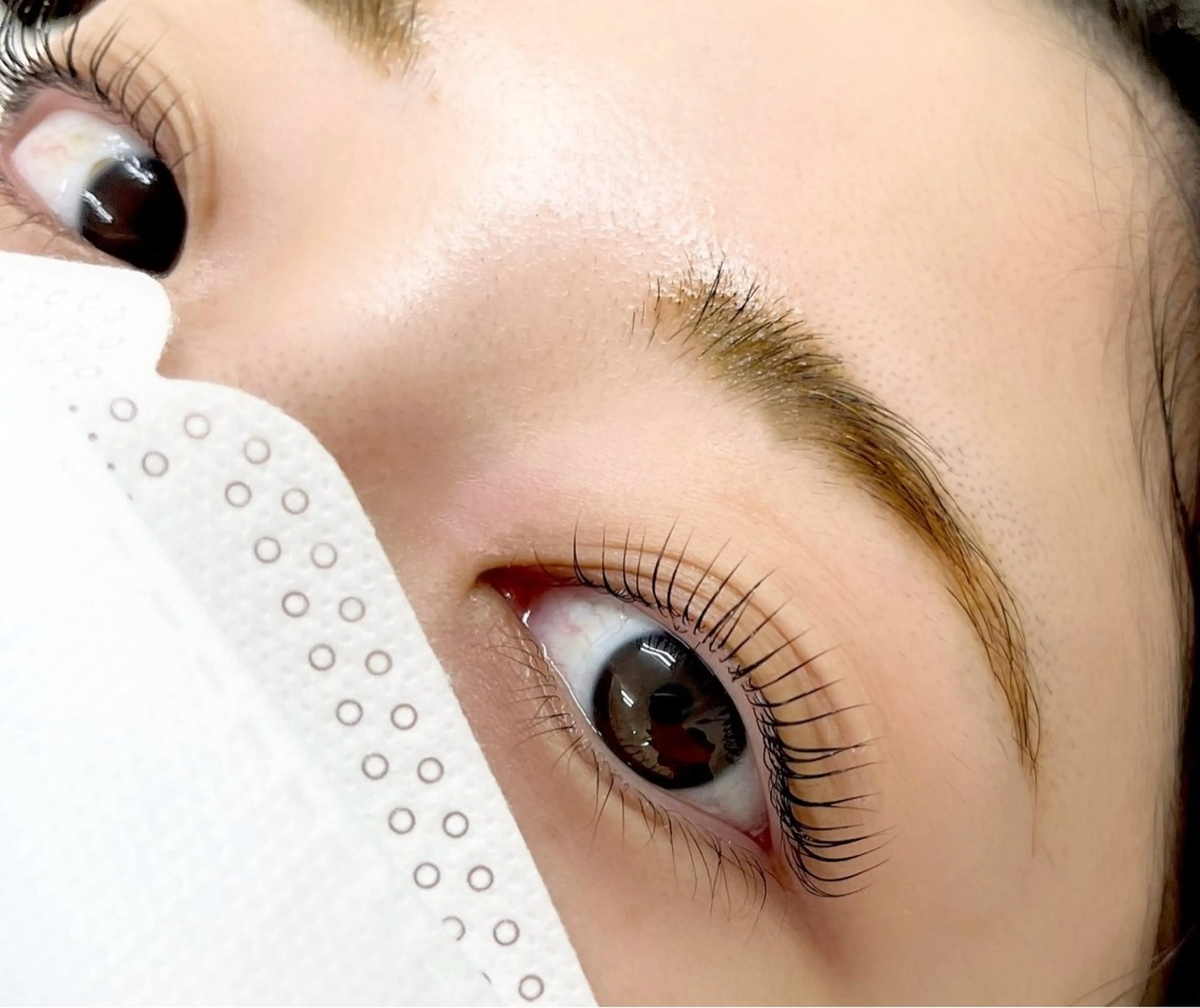 パリジェンヌラッシュリフト🕊️🤍＋マツエクオフ1500円の写真