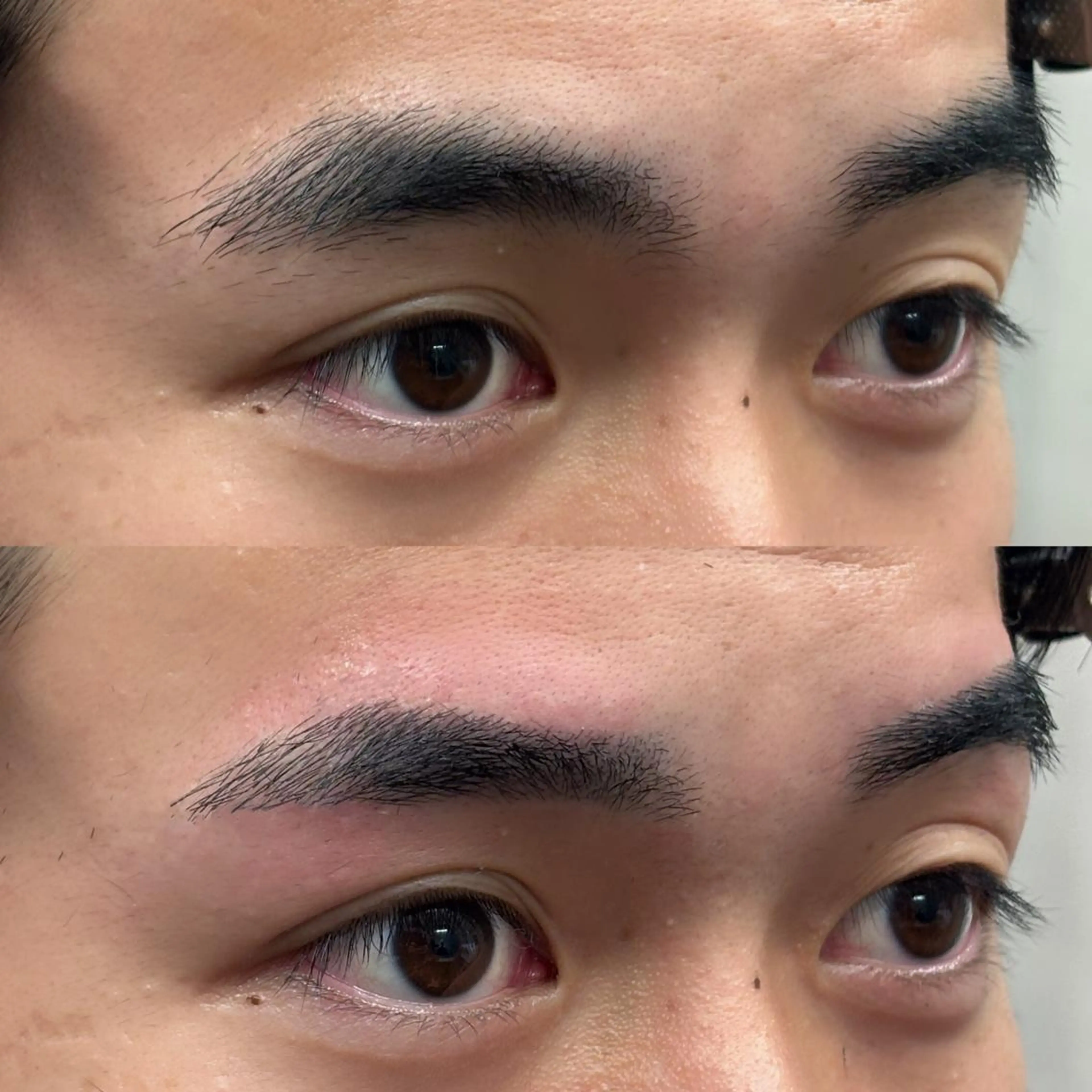 アイブロウ メンズアイブロウ 坪田 龍馬の眉毛・アイブロウイメージ