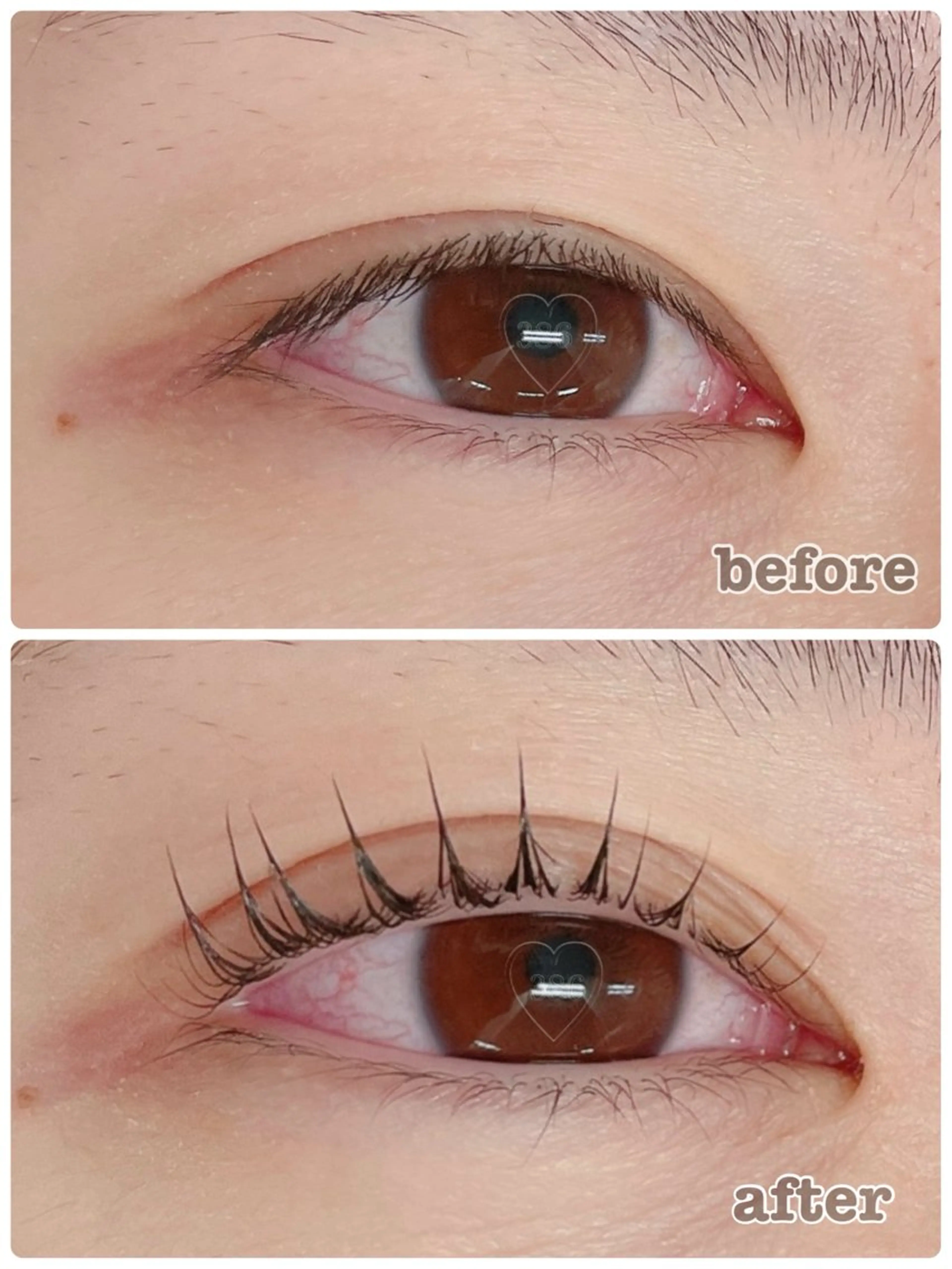 マツエク・マツパ マリーテレジア博多 🌺MIHARUのマツエク・マツパデザイン