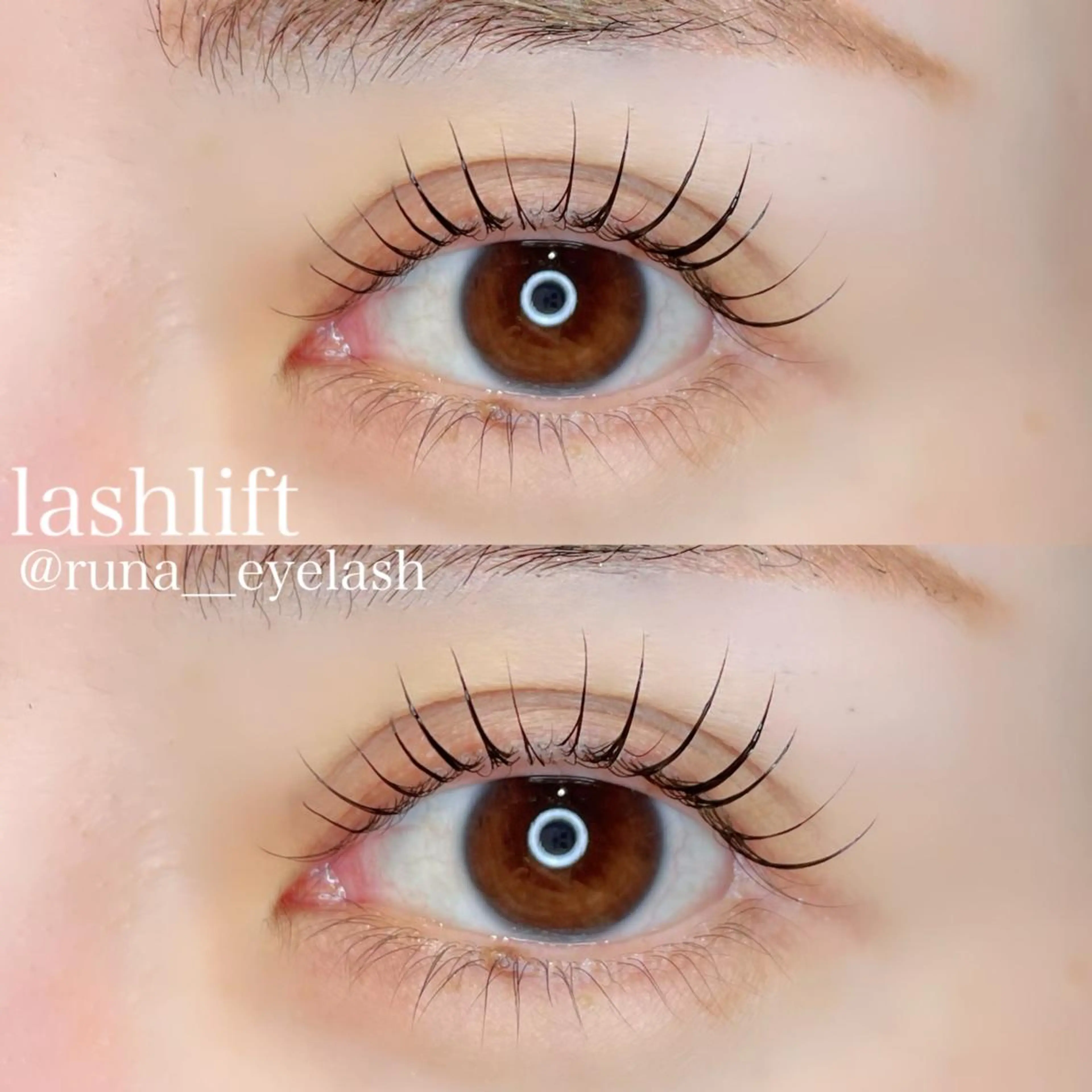 12月限定価格🎄💖【上下パリジェンヌorラッシュリフト】の写真