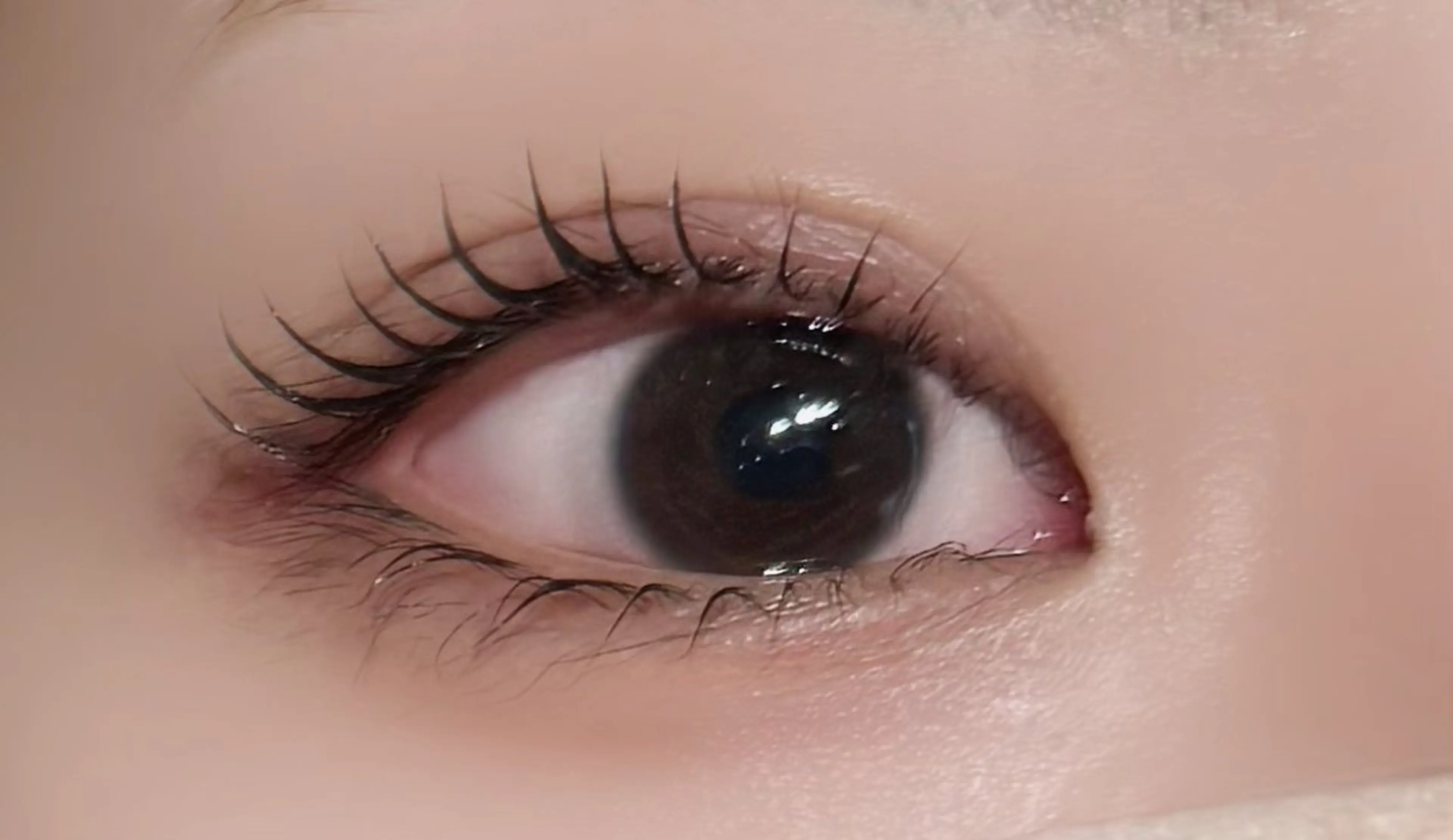 マツエク・マツパ 一重×まつ毛パーマ 藤川 瑛梨奈のマツエク・マツパデザイン