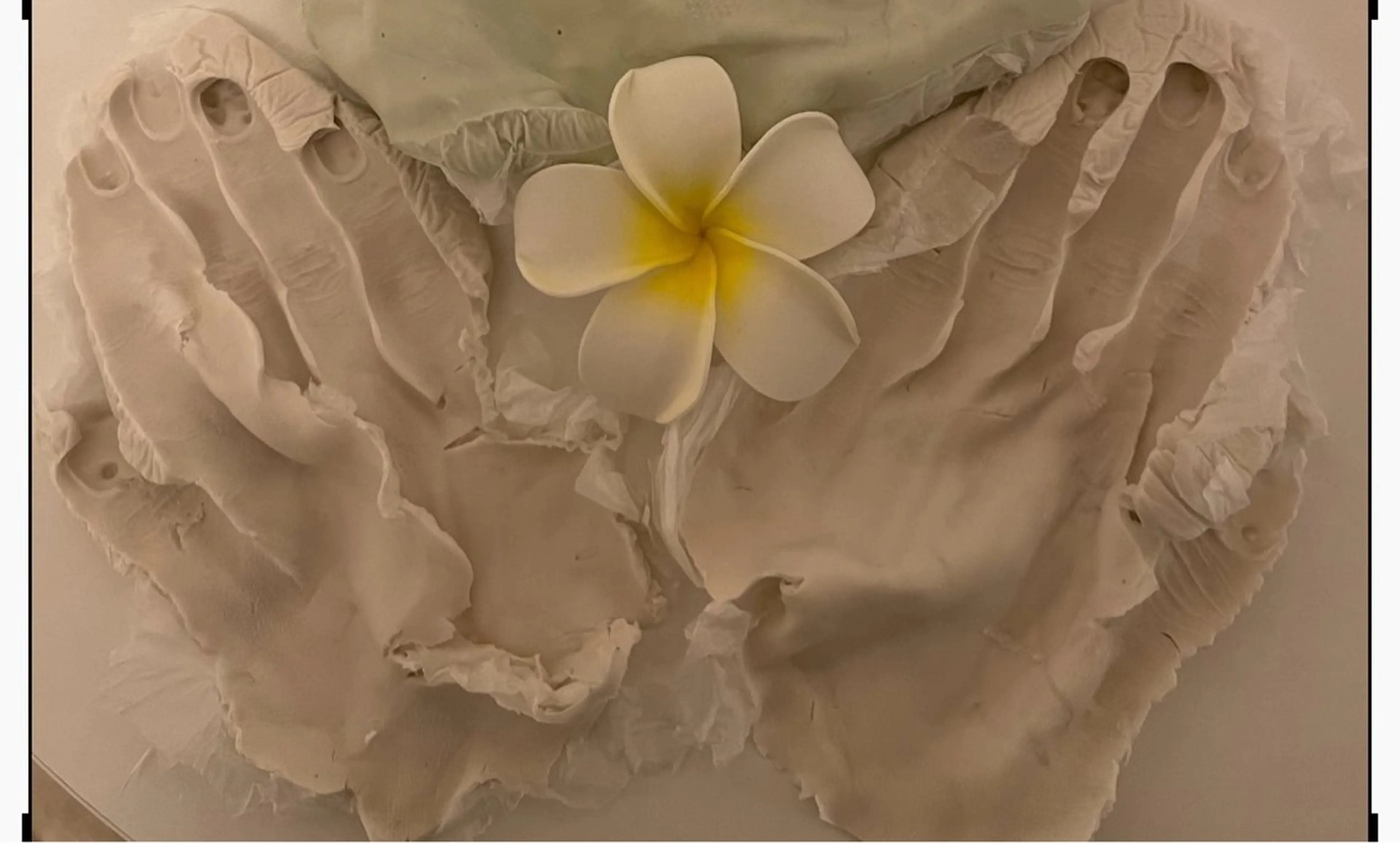 kinseiエステサロン所属・Kinsei エステサロンのエステ・リラクイメージ