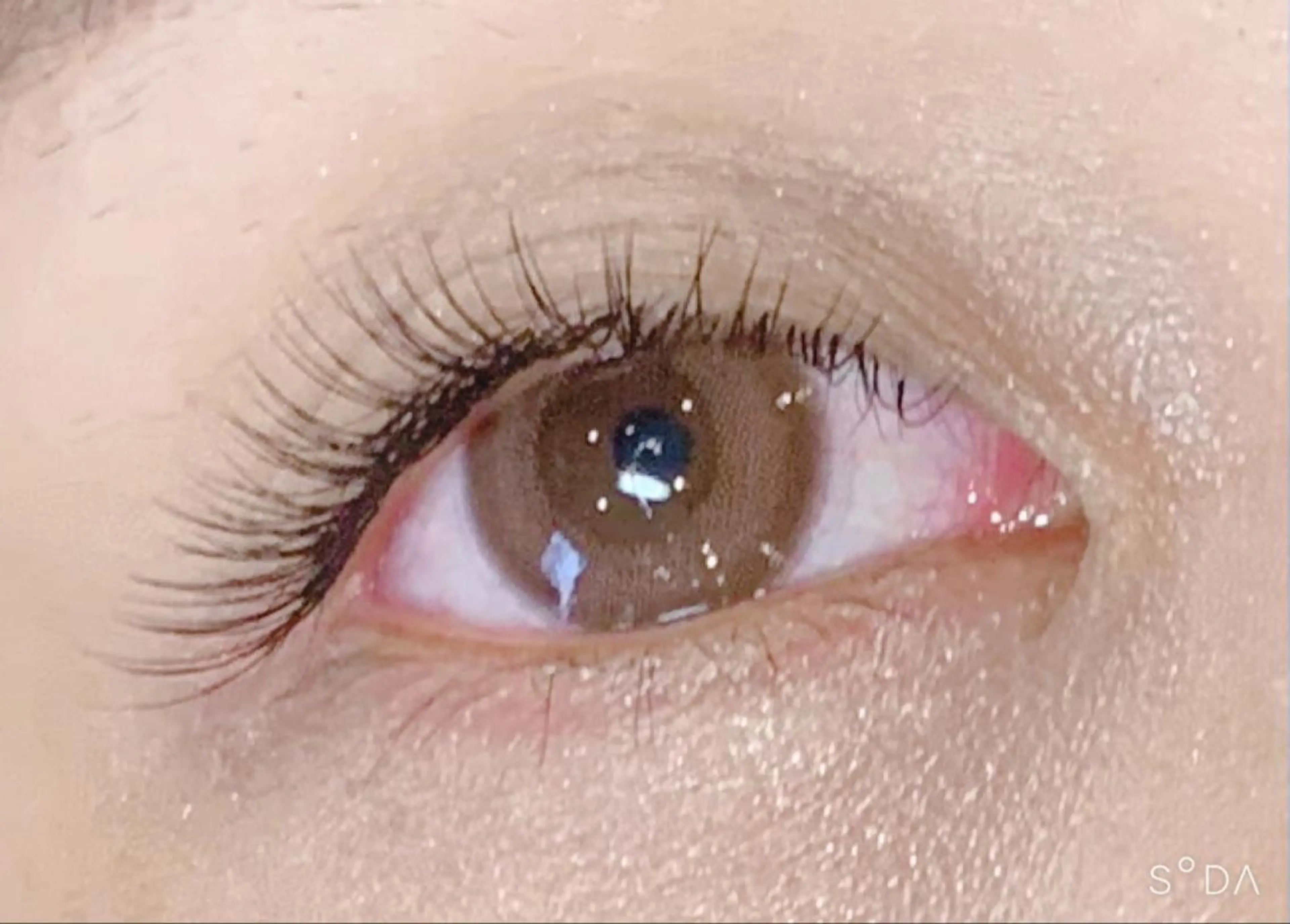 マツエク・マツパ セーブル シルク ステラマリス 〜KIMURA〜のマツエク・マツパデザイン