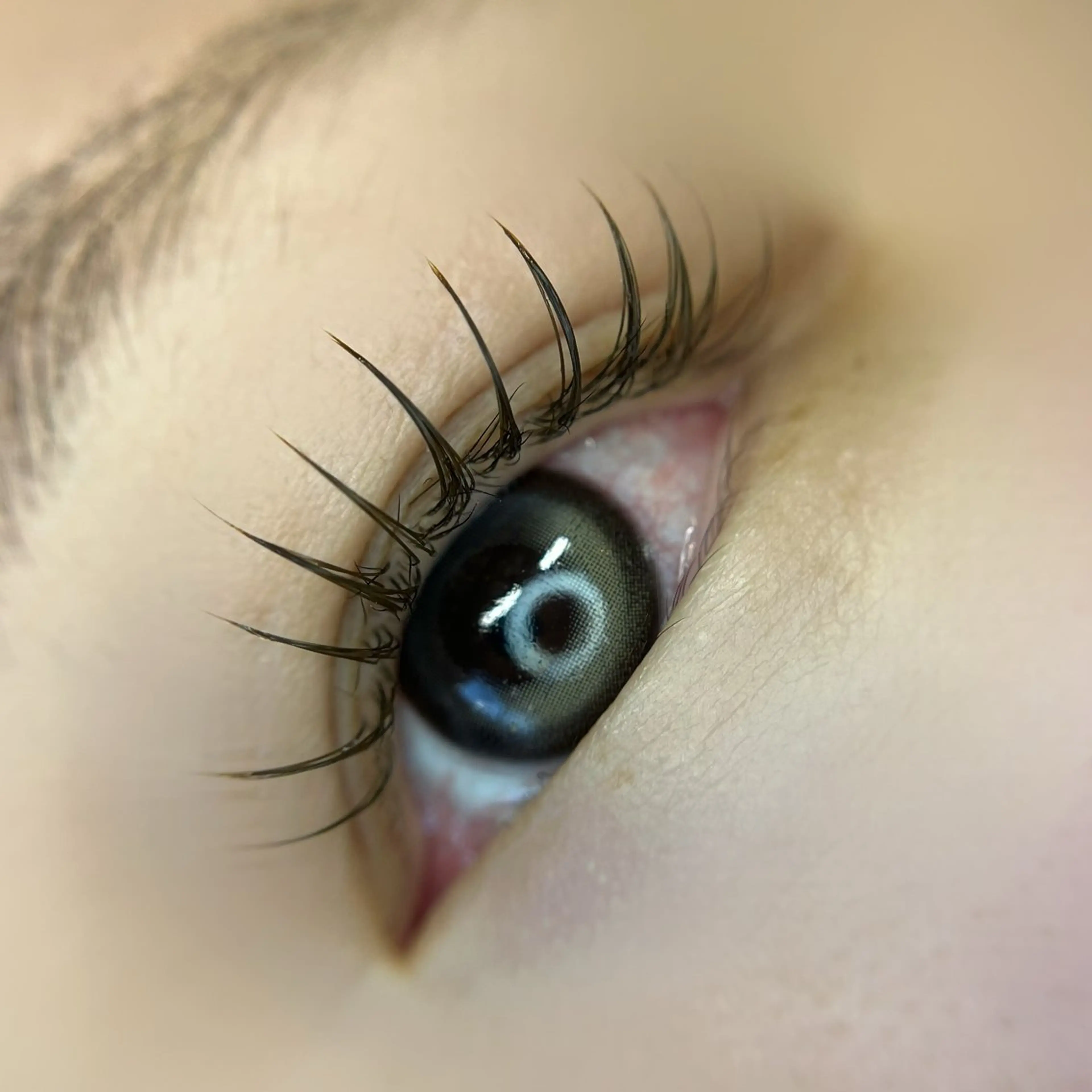 マツエク・マツパ マツエク Lau【ラウ】所属・Lau【ラウ】 ⁂NaNaのマツエク・マツパデザイン