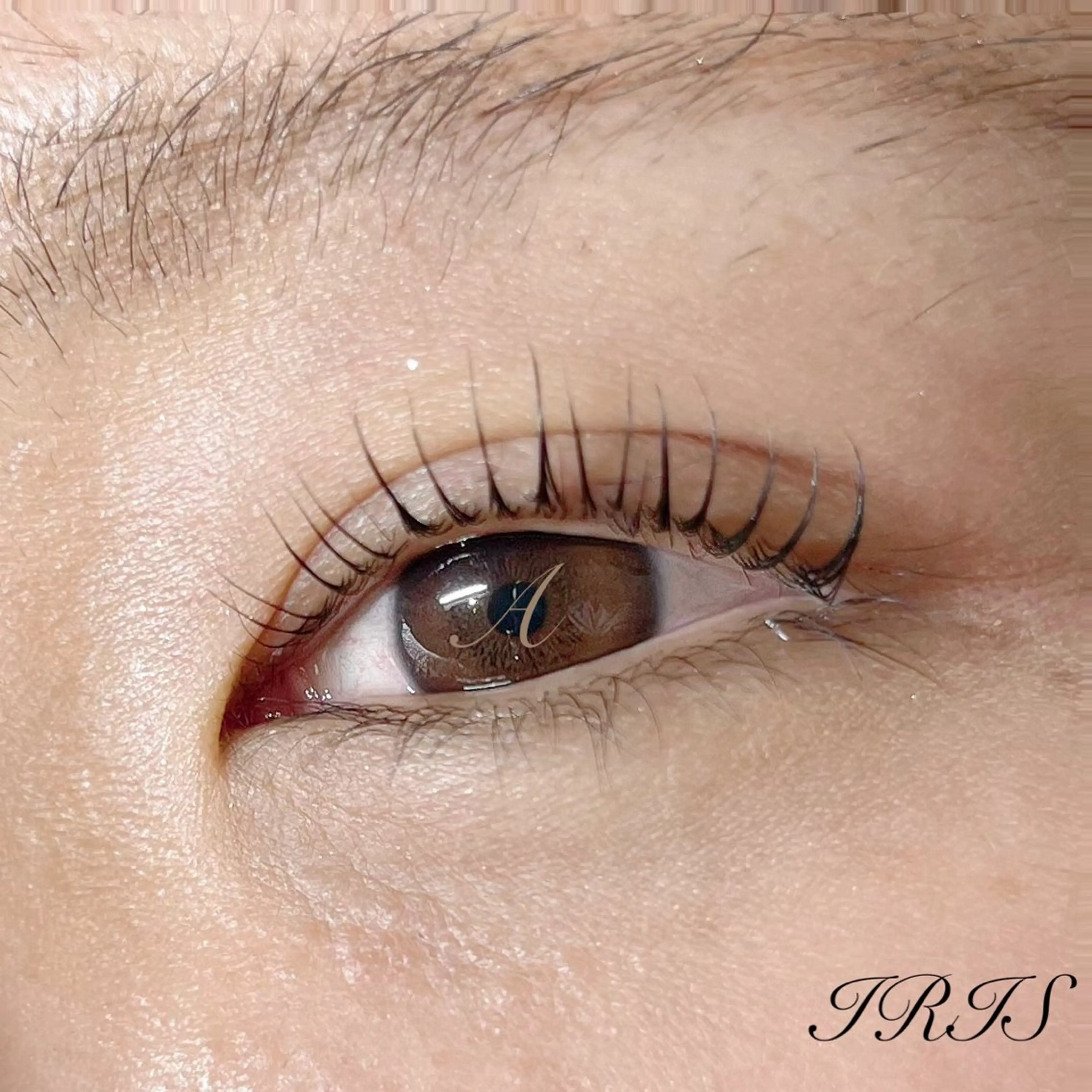 マツエク・マツパ 一重×まつ毛パーマ マツパ IRIS🫧 Ayaのマツエク・マツパデザイン