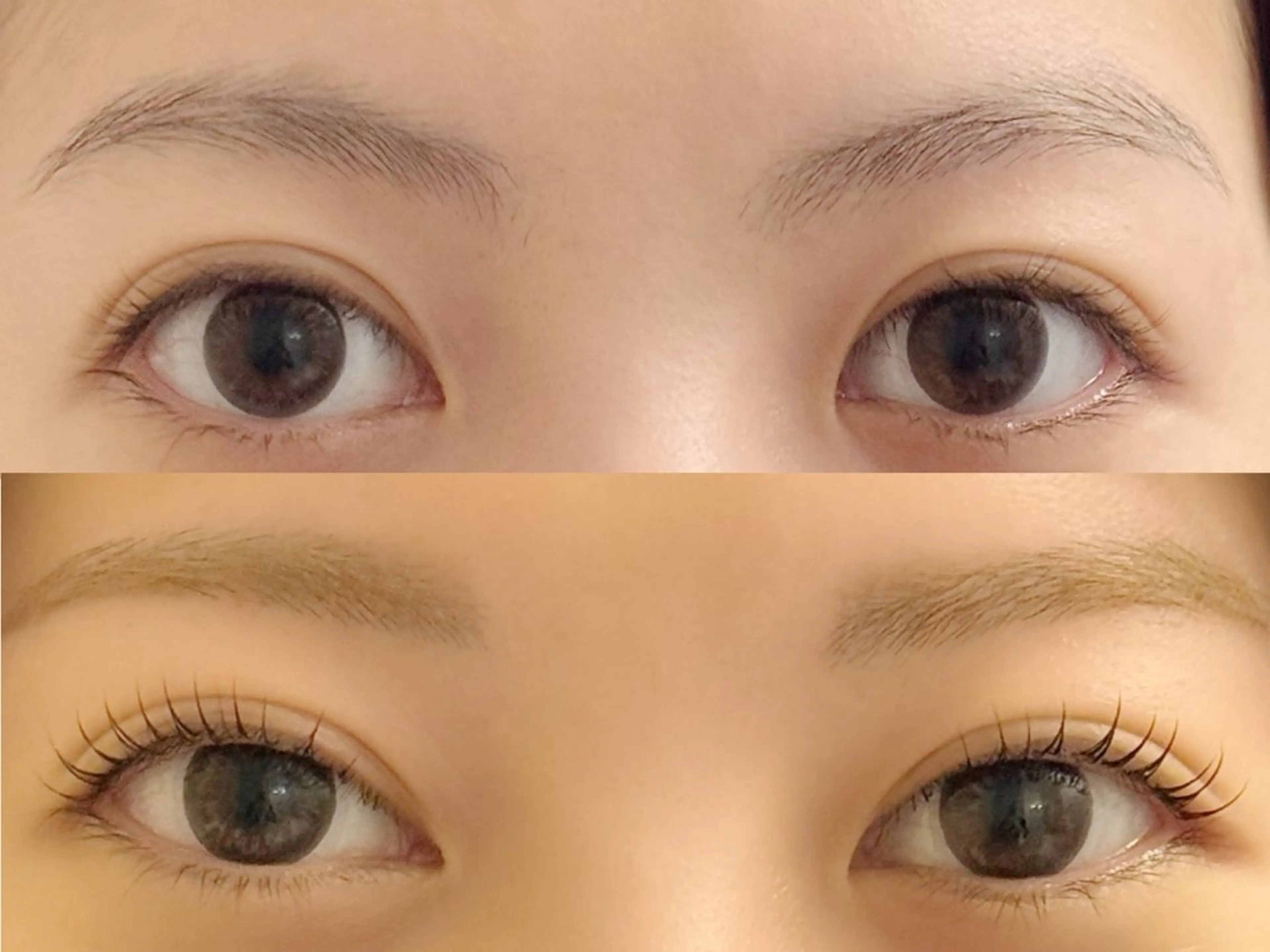 アイブロウ&まつ毛パーマの写真