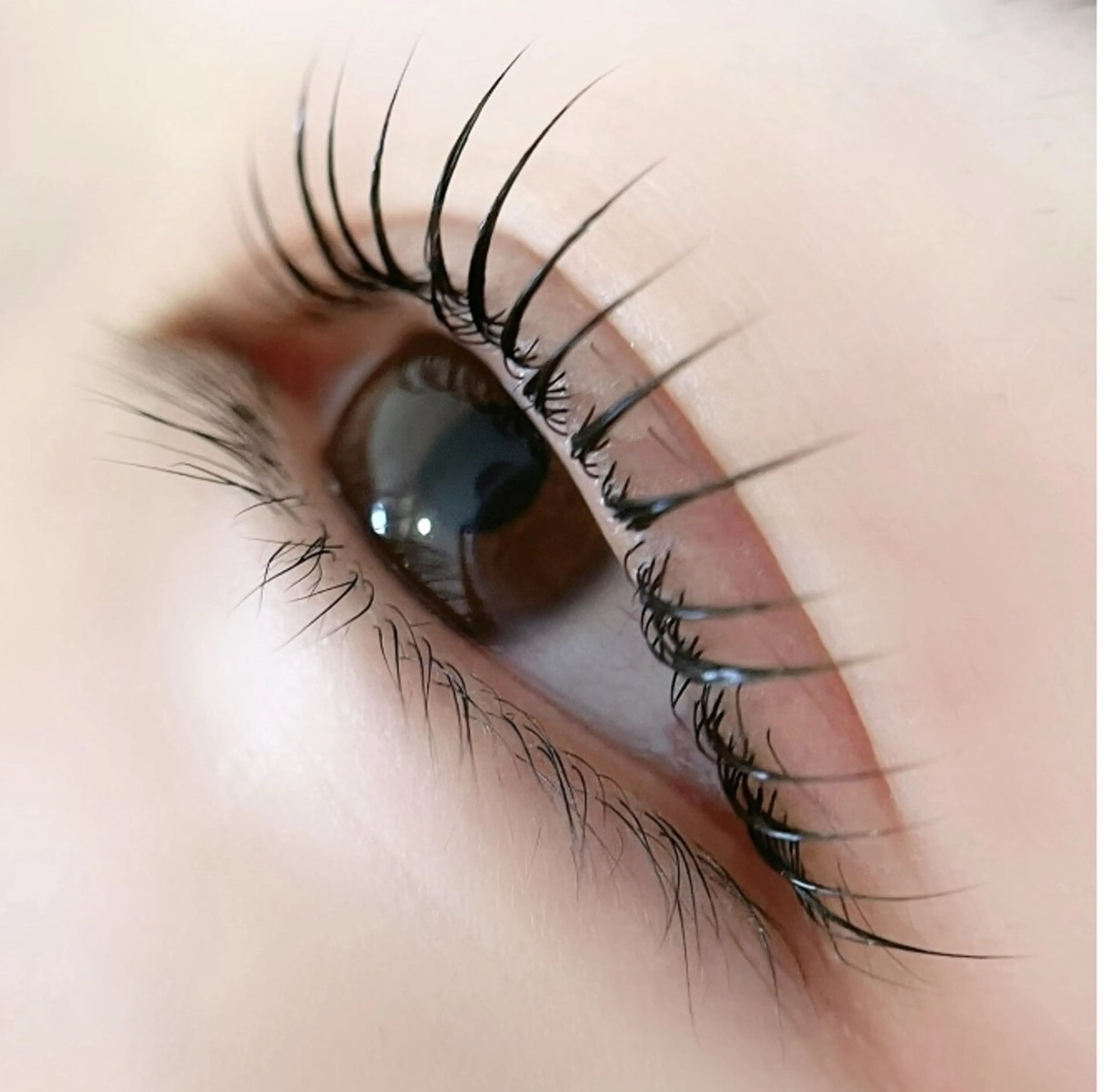 ★人気★【束感仕上げ】 韓国アイドル風まつげパーマ (コーティング付 )¥4500の写真