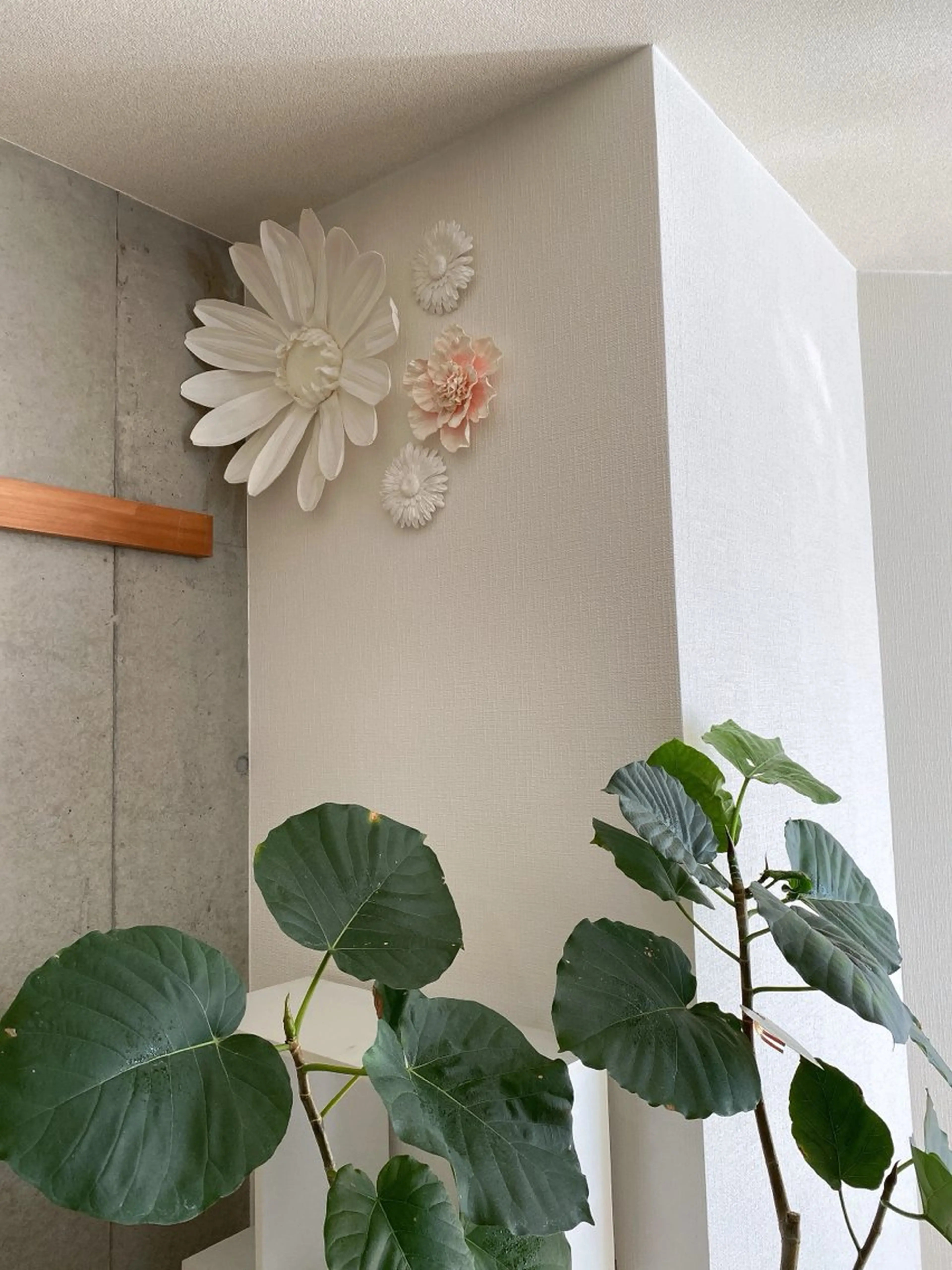 LC尾張旭店所属・LC尾張旭店🫧 いしいのマツエク・マツパデザイン