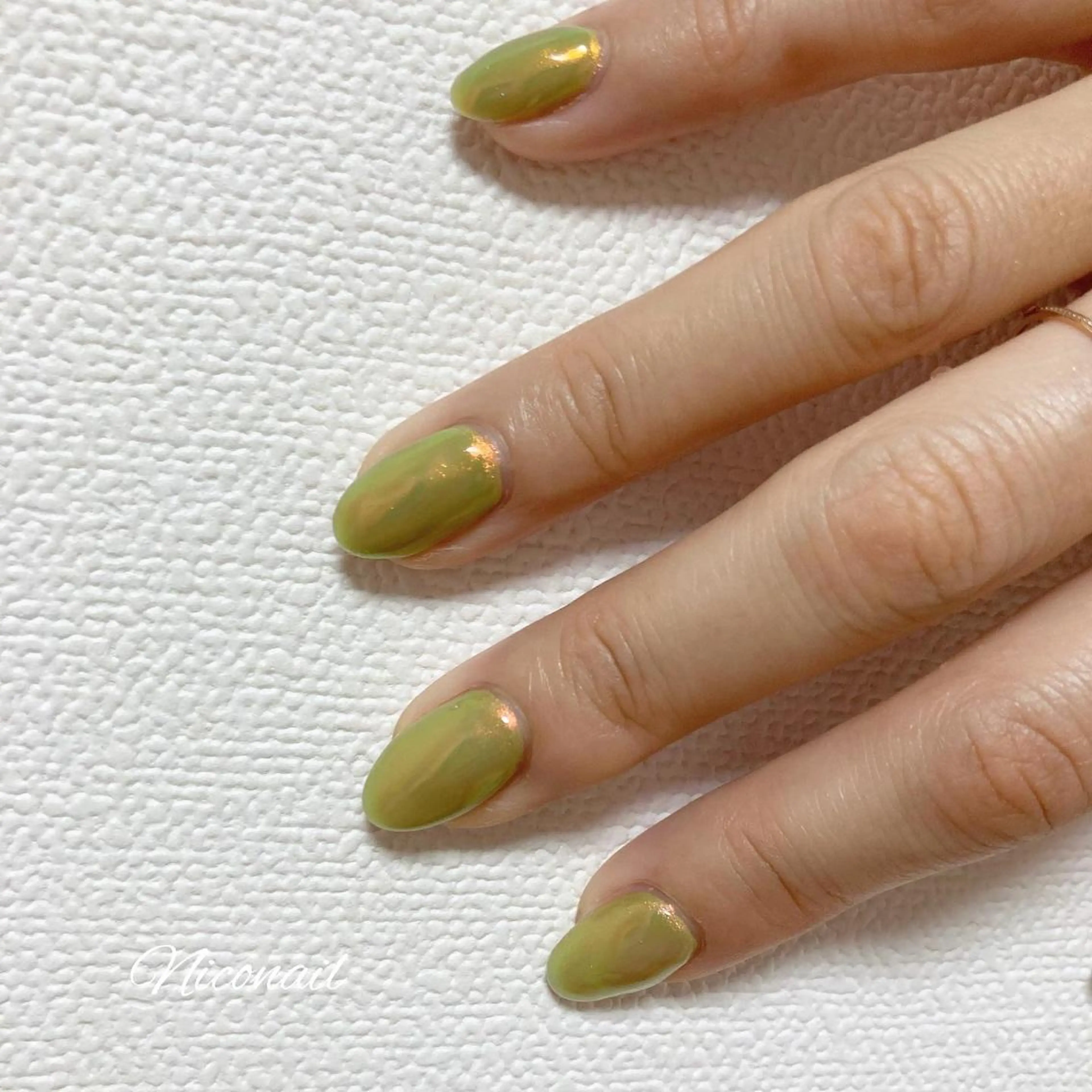 ネイル オーロラネイル ワンカラーネイル Niconail ☆ 仙川/ Aiのネイルデザイン