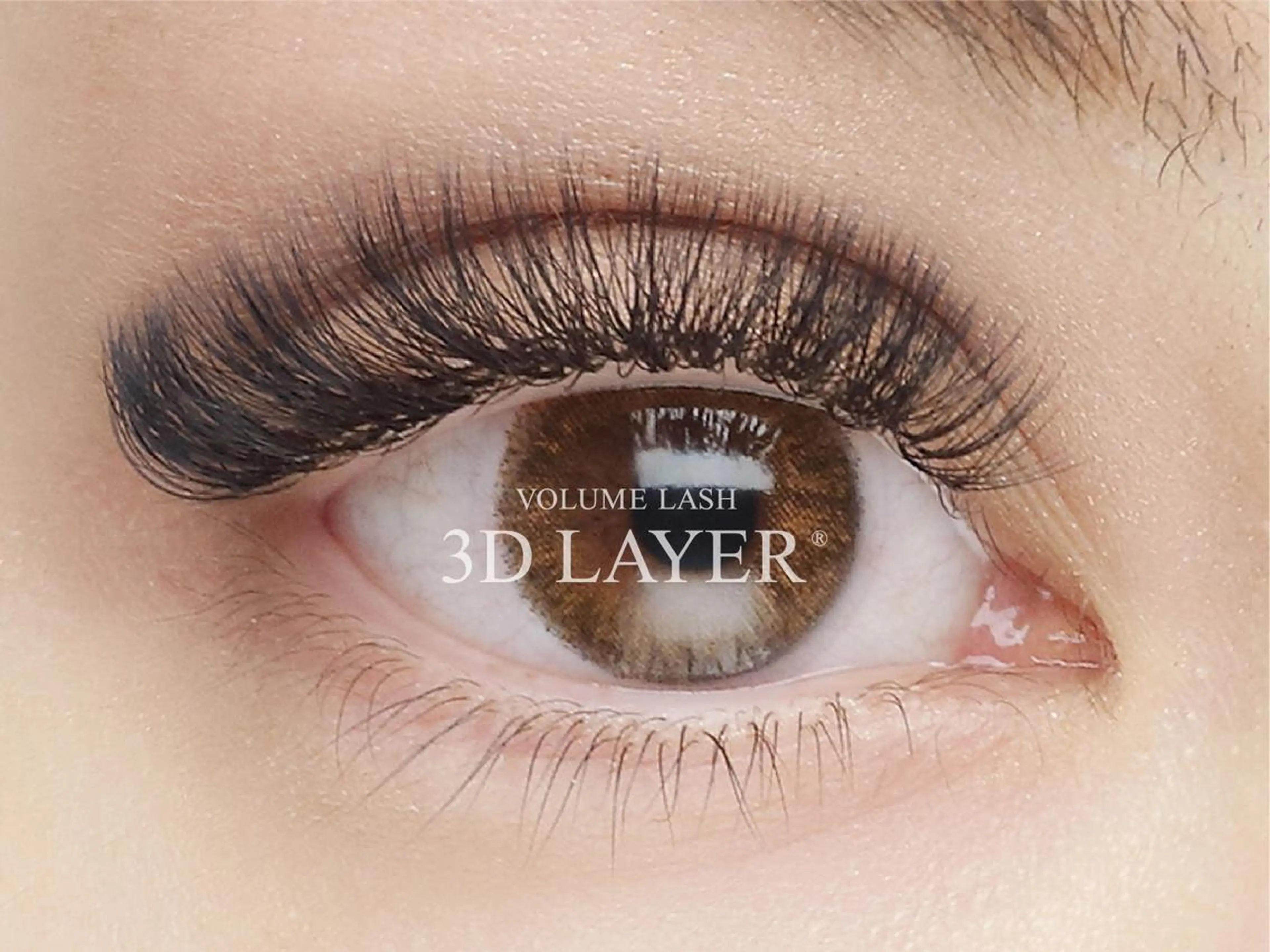 【11月19日まで】根本から立ち上げ仕上げのバインドロックの写真