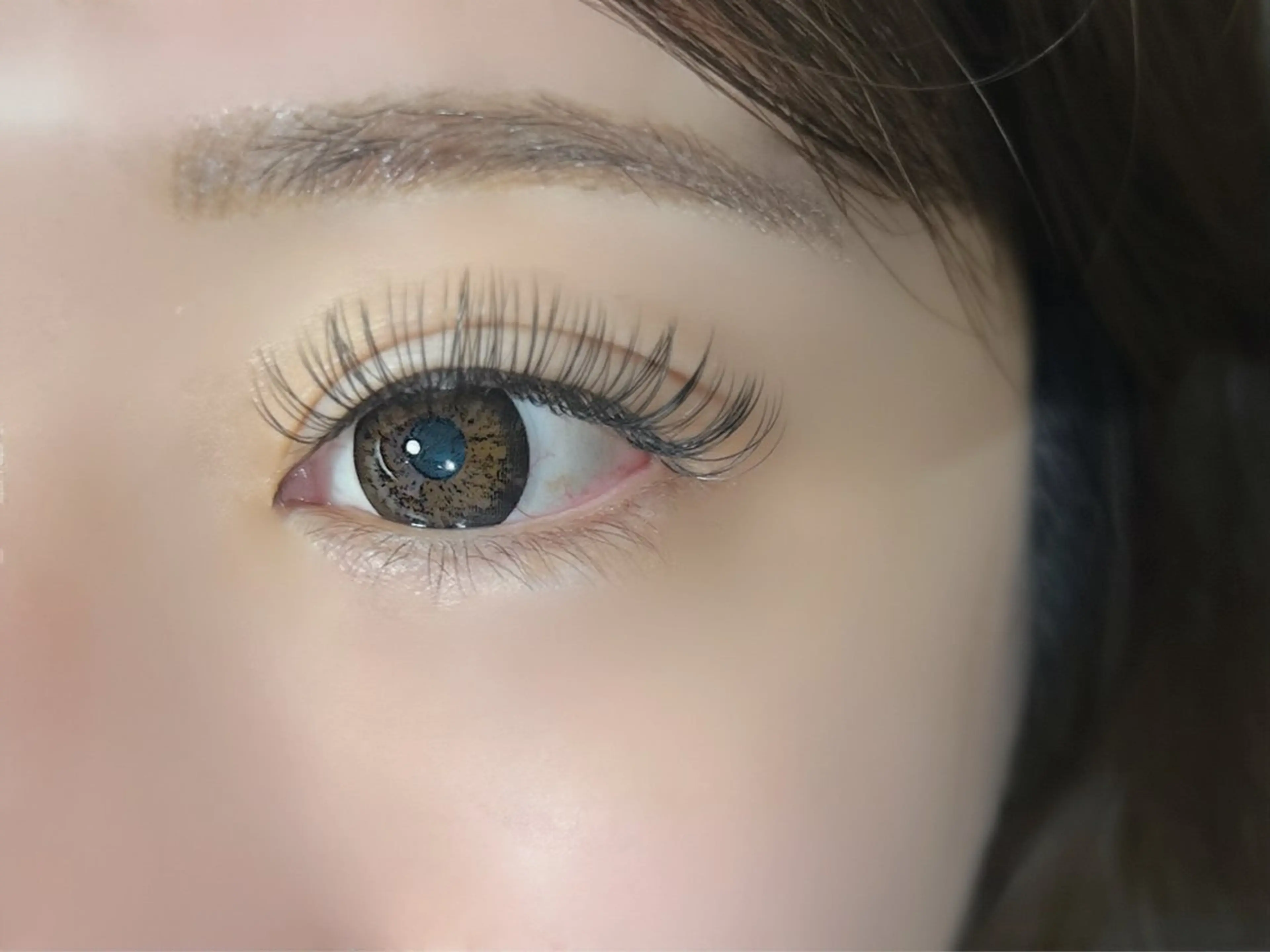 フラットラッシュ100本の写真