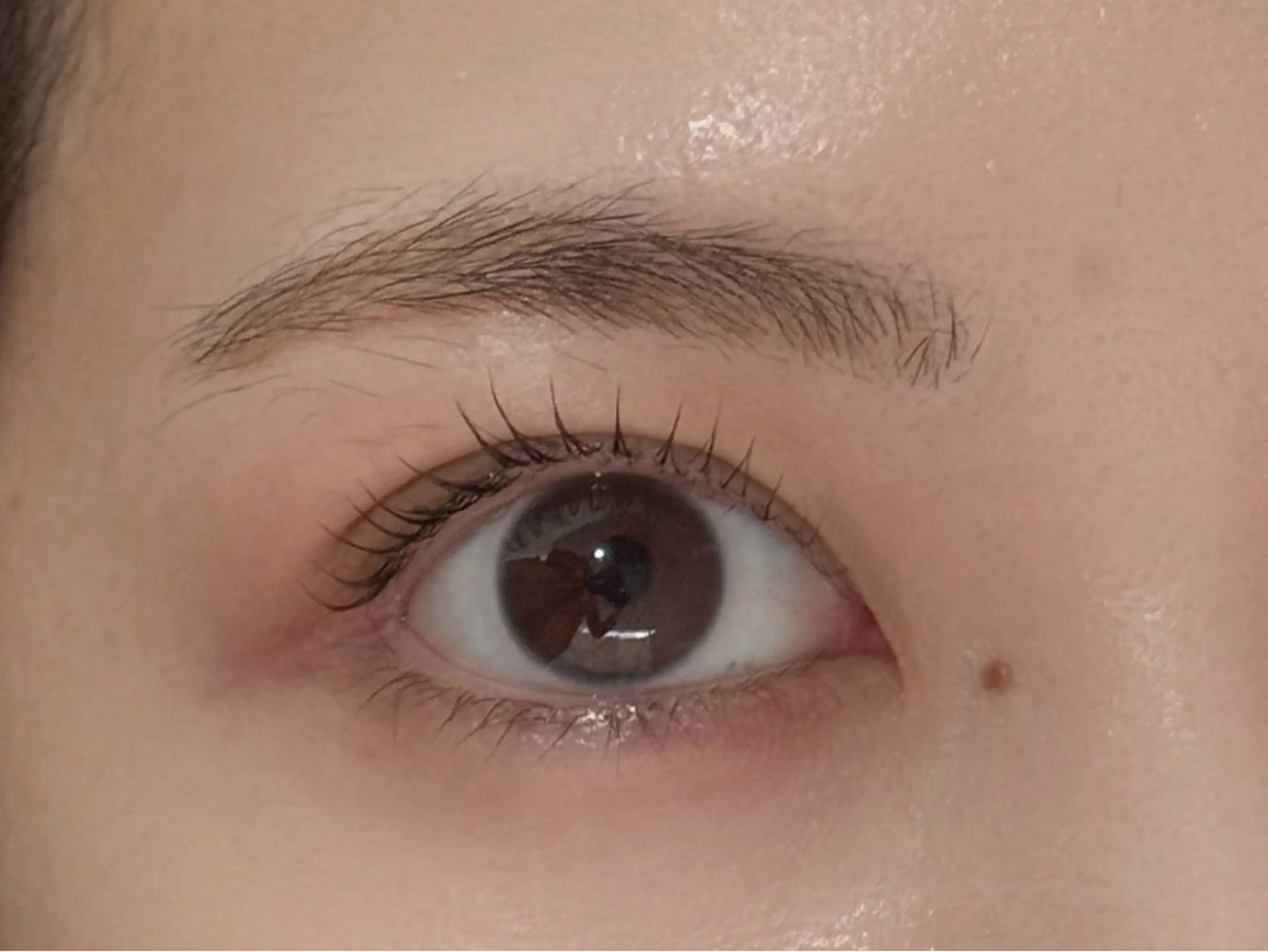 マツエク・マツパ サクラブロウ 心斎橋のマツエク・マツパデザイン