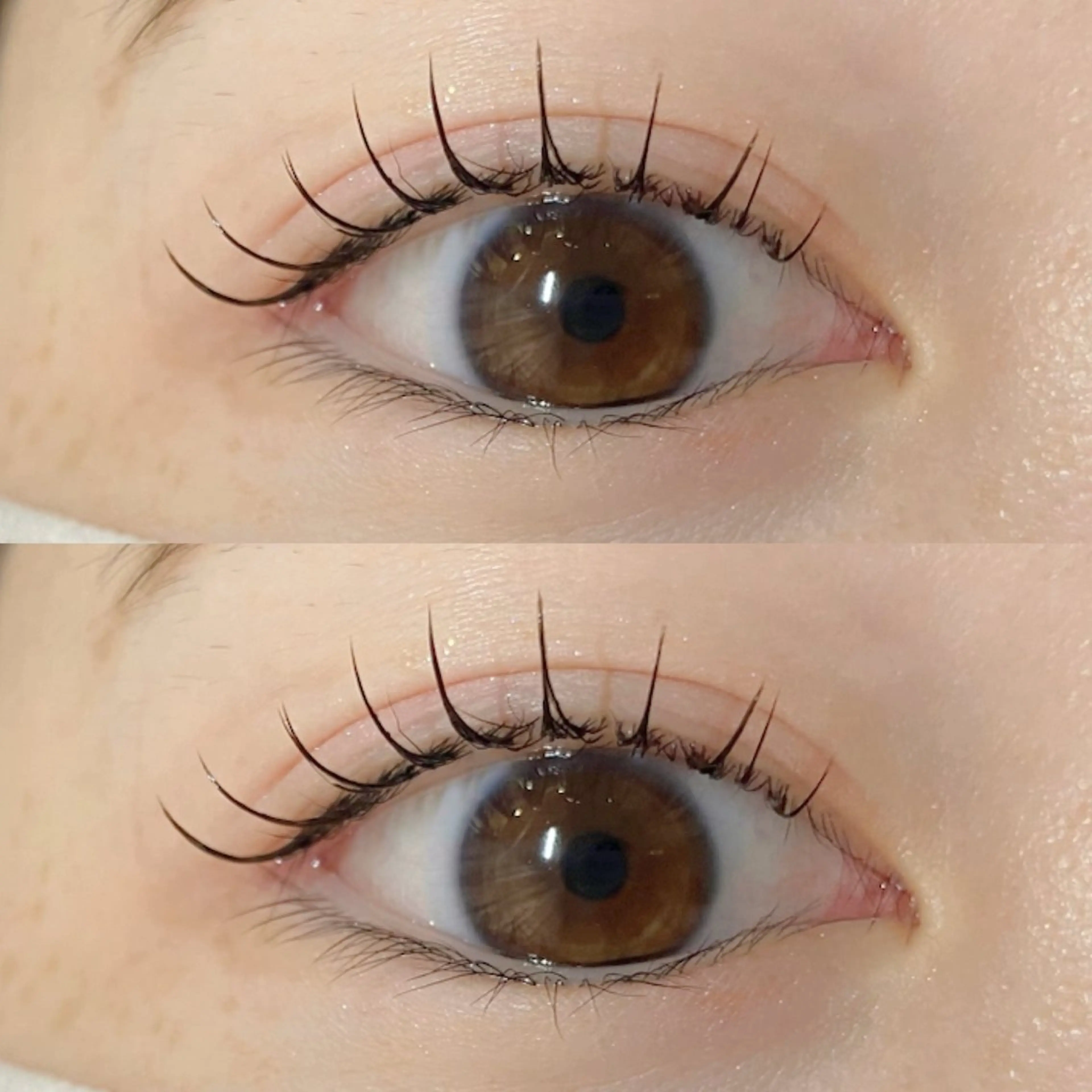 🌸オフなし🌸LEDフラットラッシュ100本［J.C.CC.Lカール］の写真