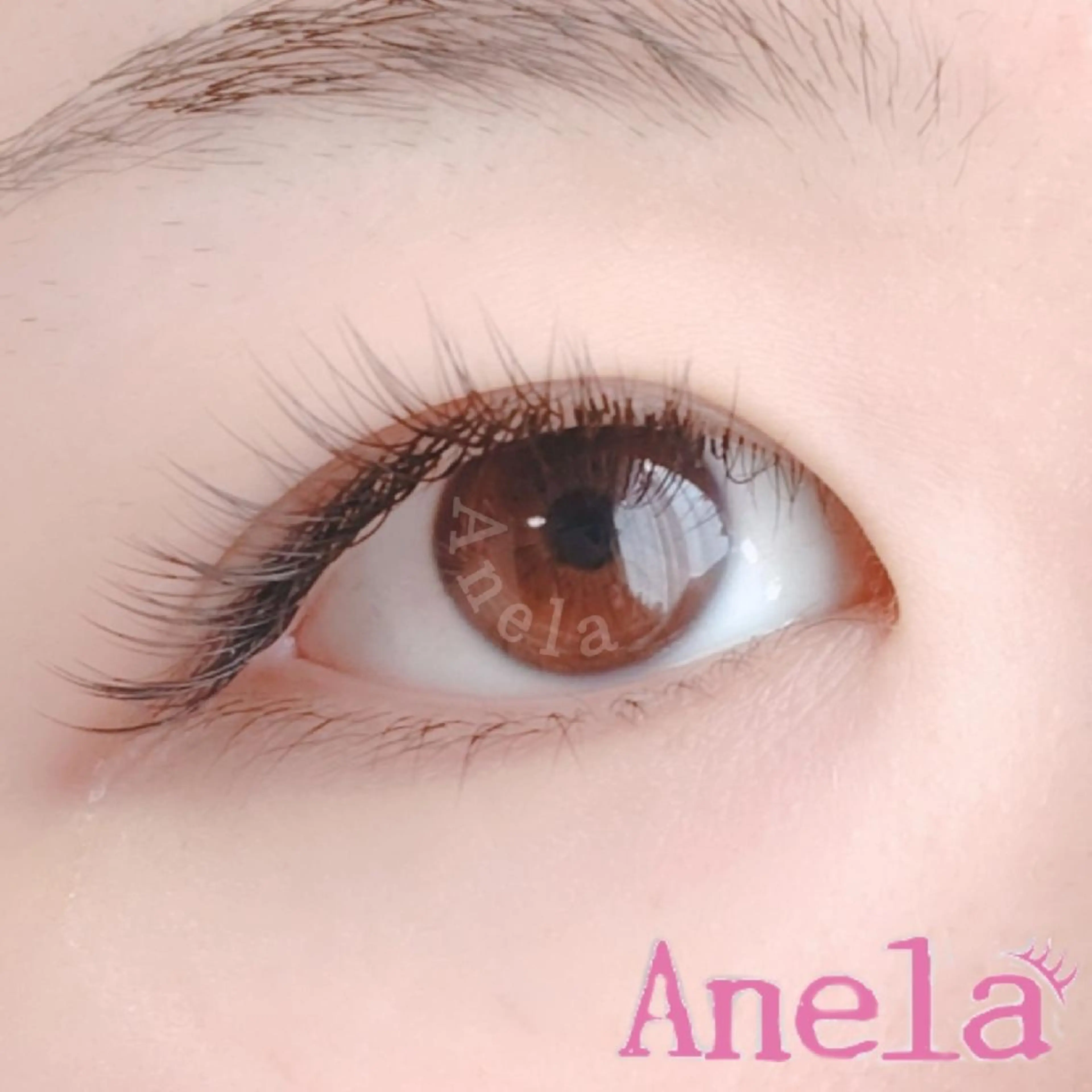 💍最先端フラットマットラッシュ120本まで (オフ無料)の写真