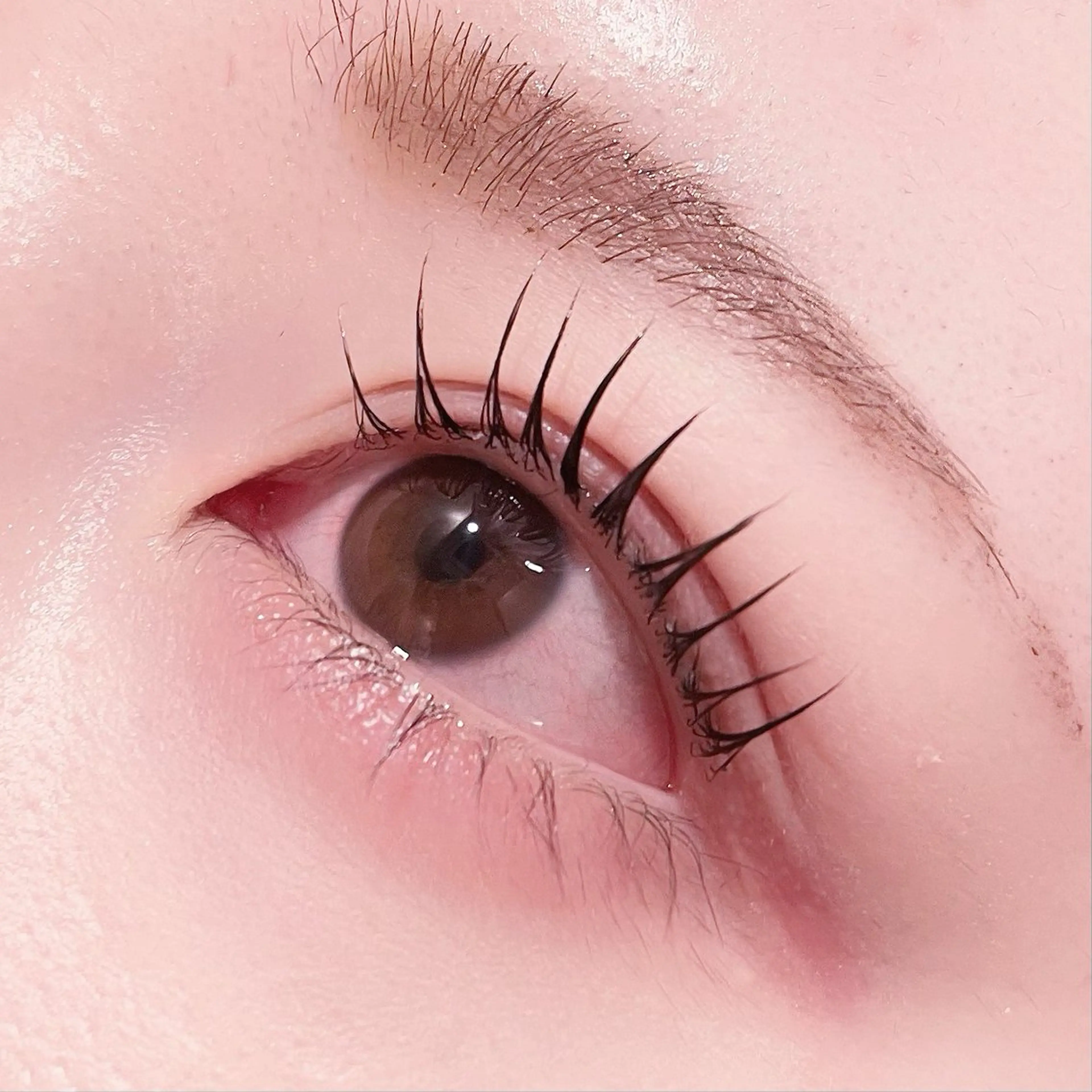 マツエク・マツパ pono大宮東口店 店長🩰AOHA🩰のマツエク・マツパデザイン