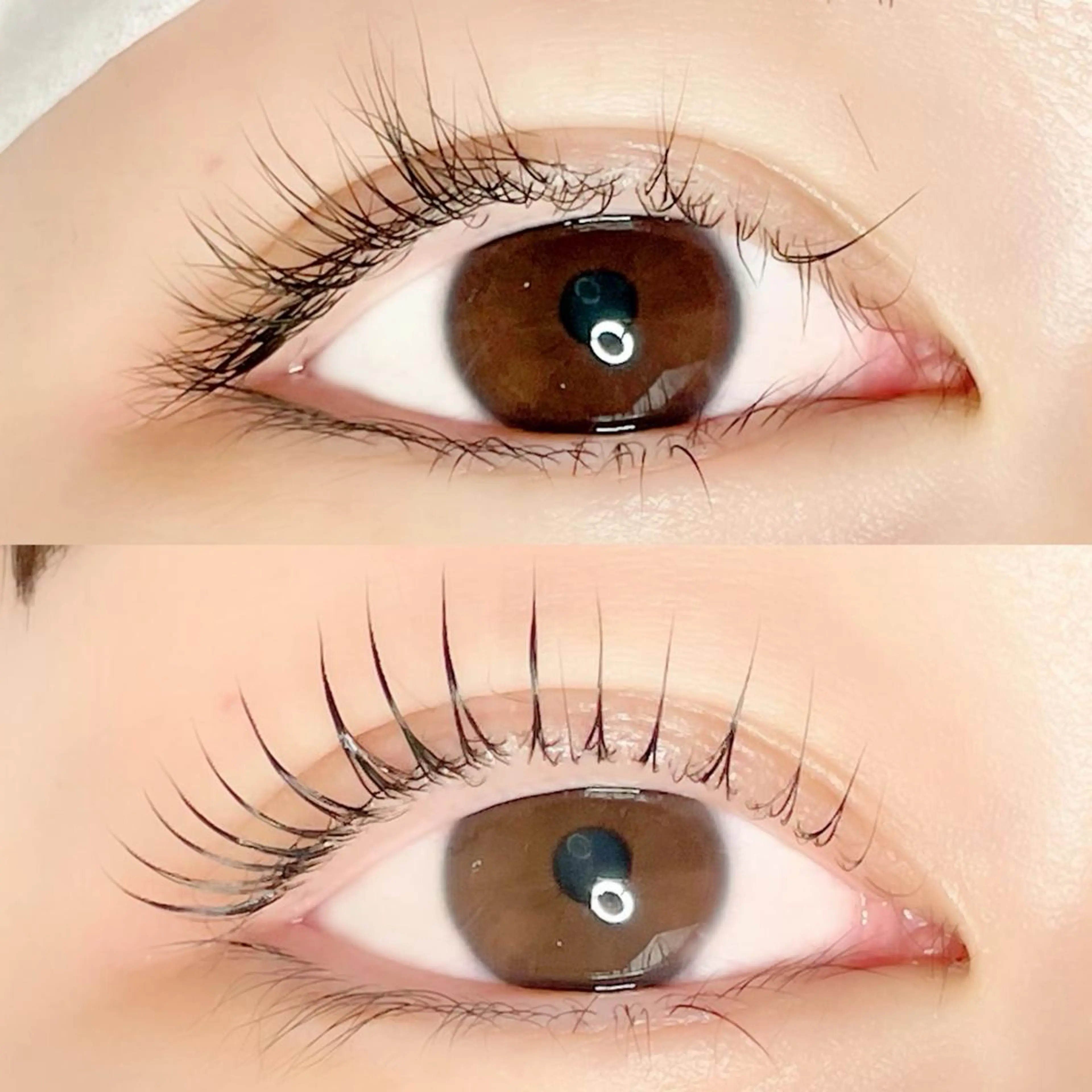 マツエク・マツパ マツパ AYLASH🧡 猪又のマツエク・マツパデザイン