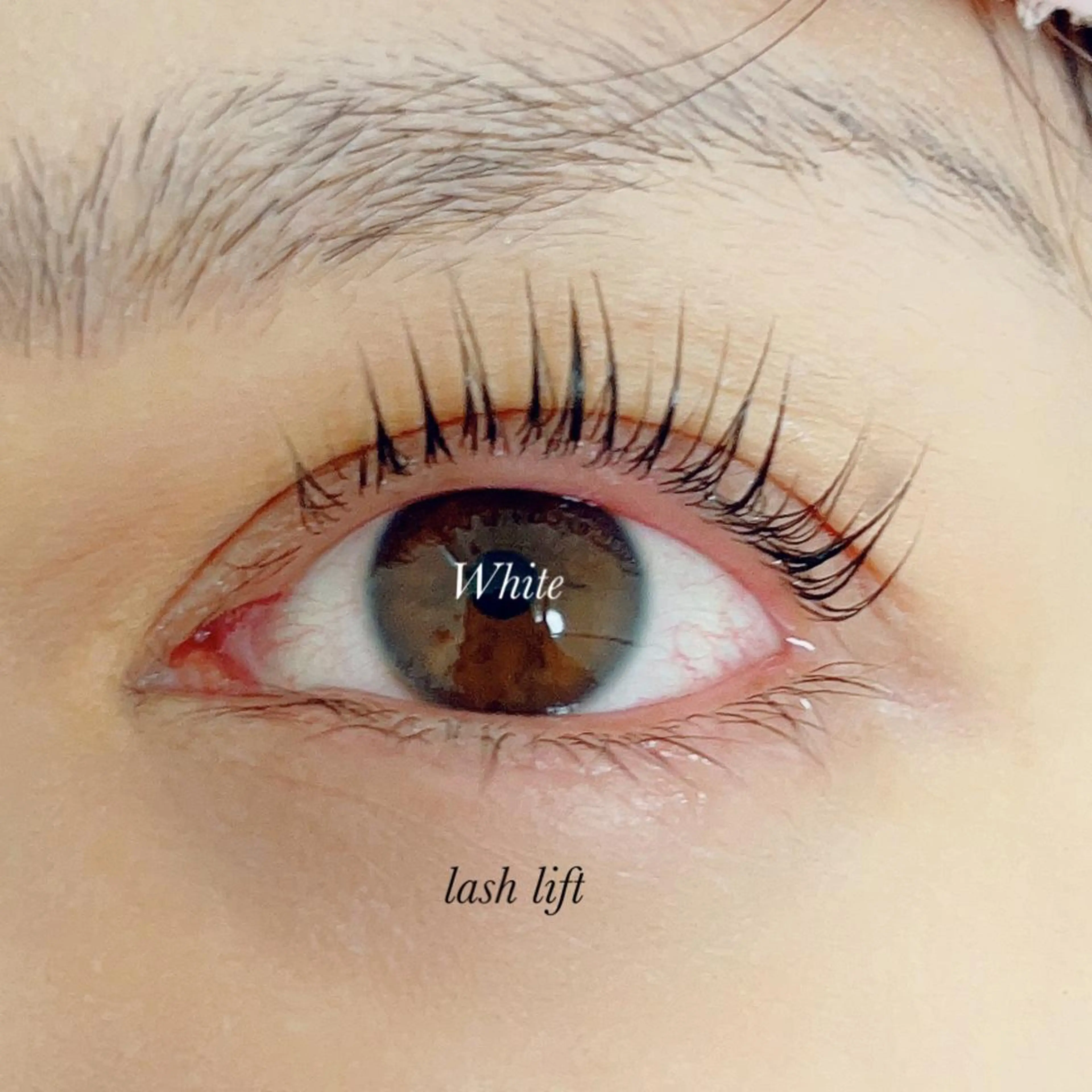 マツエク・マツパ White/マツエク /まつパ/耳つぼのマツエク・マツパデザイン