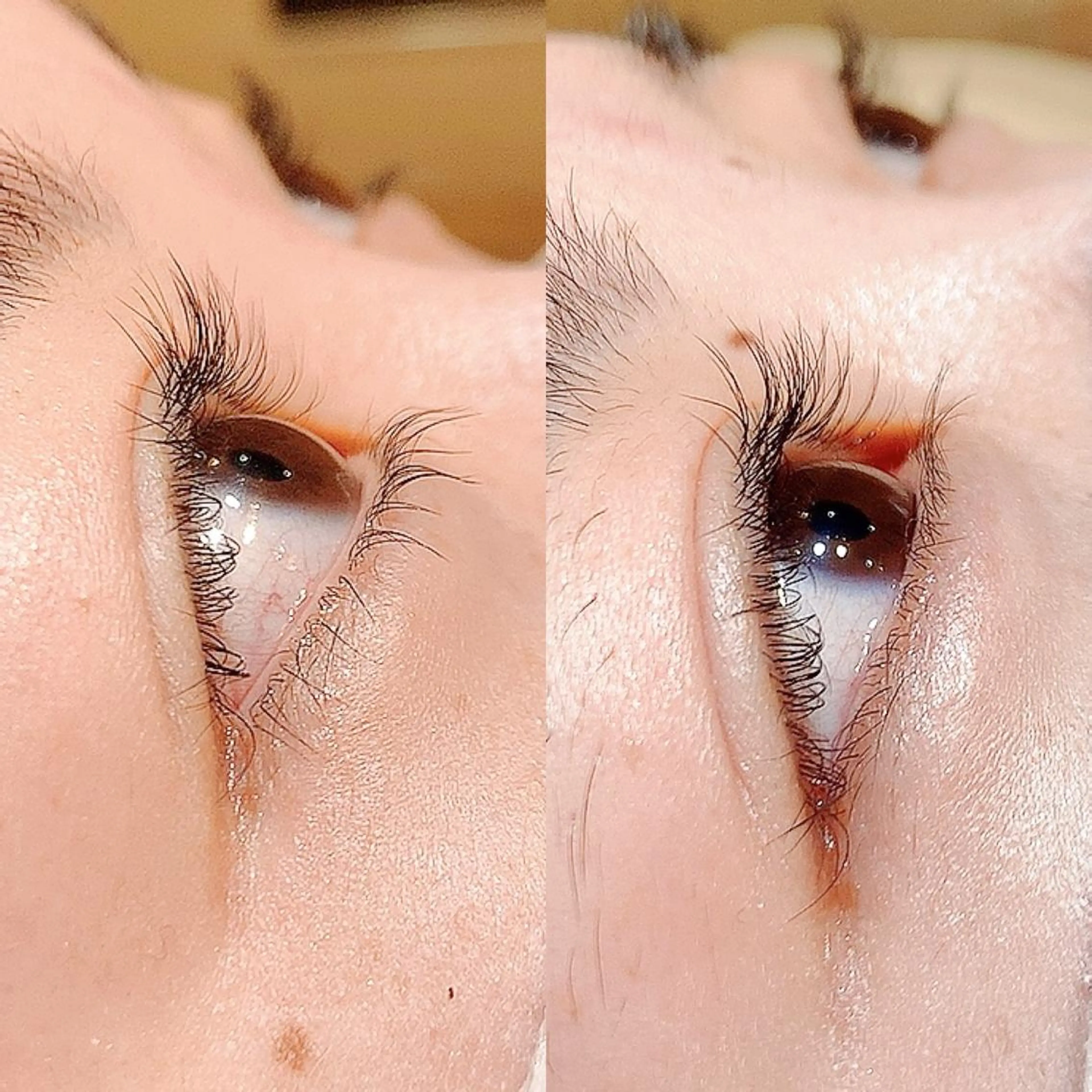 マツエク・マツパ まつげパーマ 下まつげエクステ Lilld eyelash大井町のマツエク・マツパデザイン