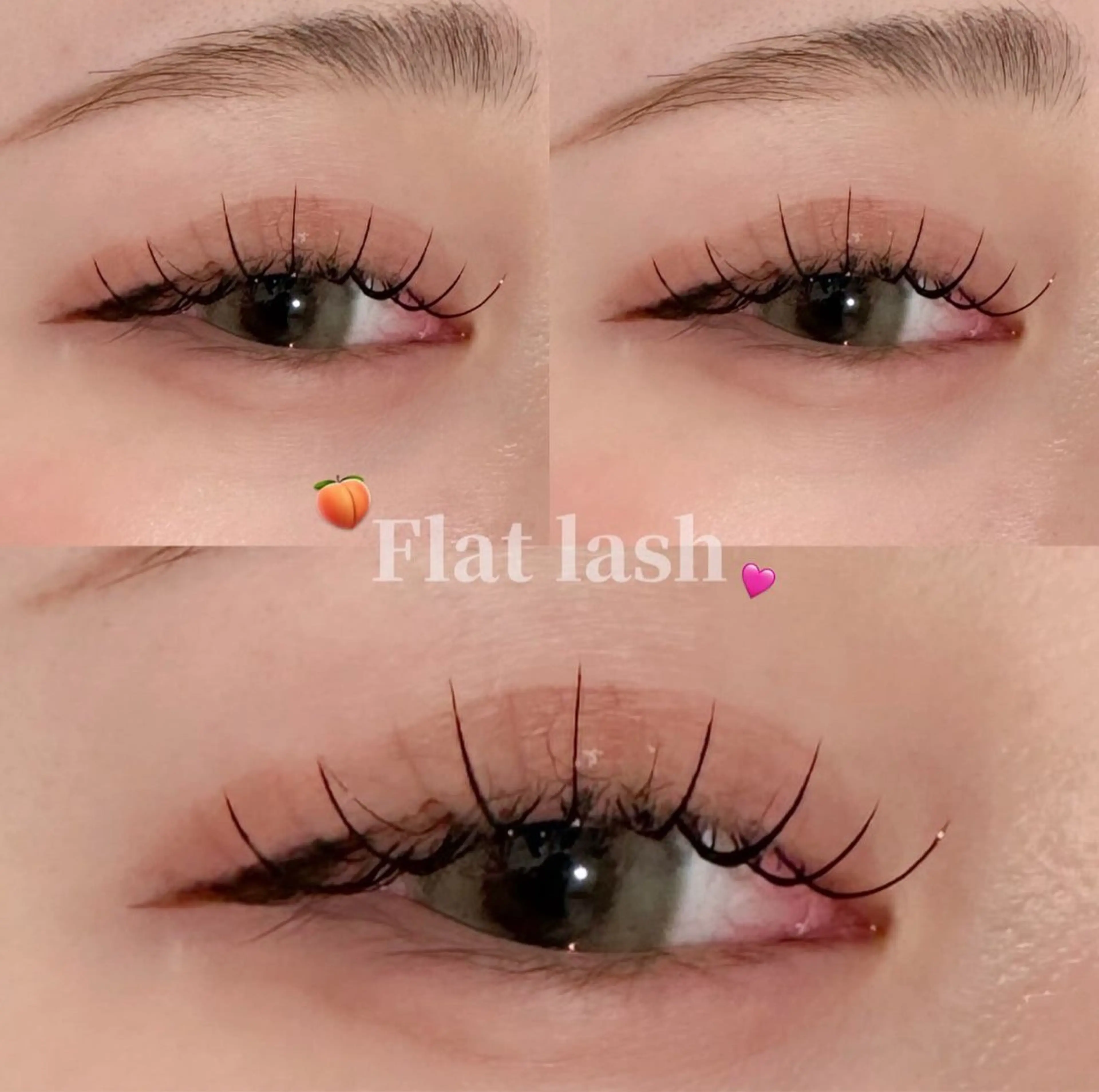 フラットラッシュ𝟏𝟎𝟎本🌼の写真