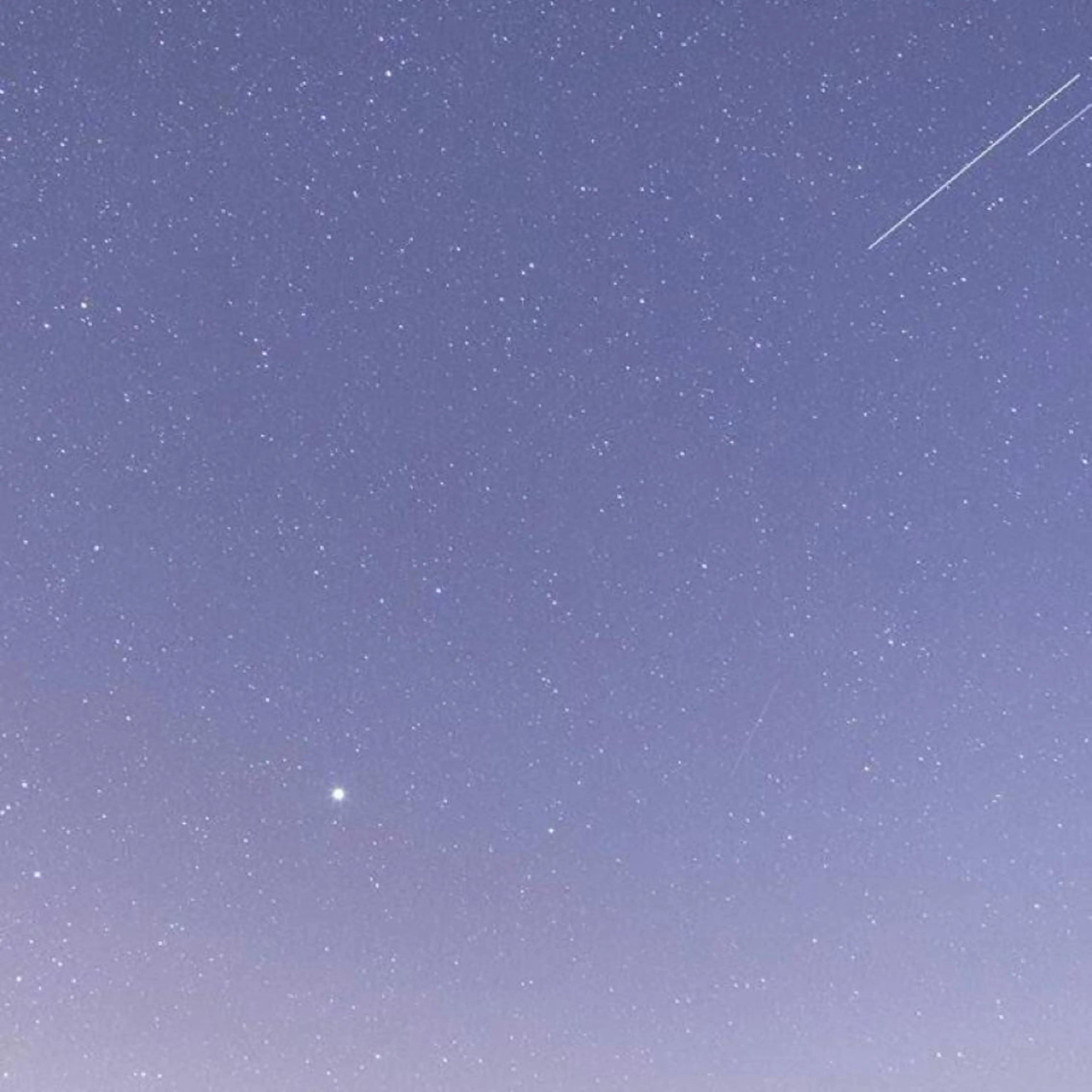 ∴Sanae. ∴ トータルビューティーのネイルデザイン