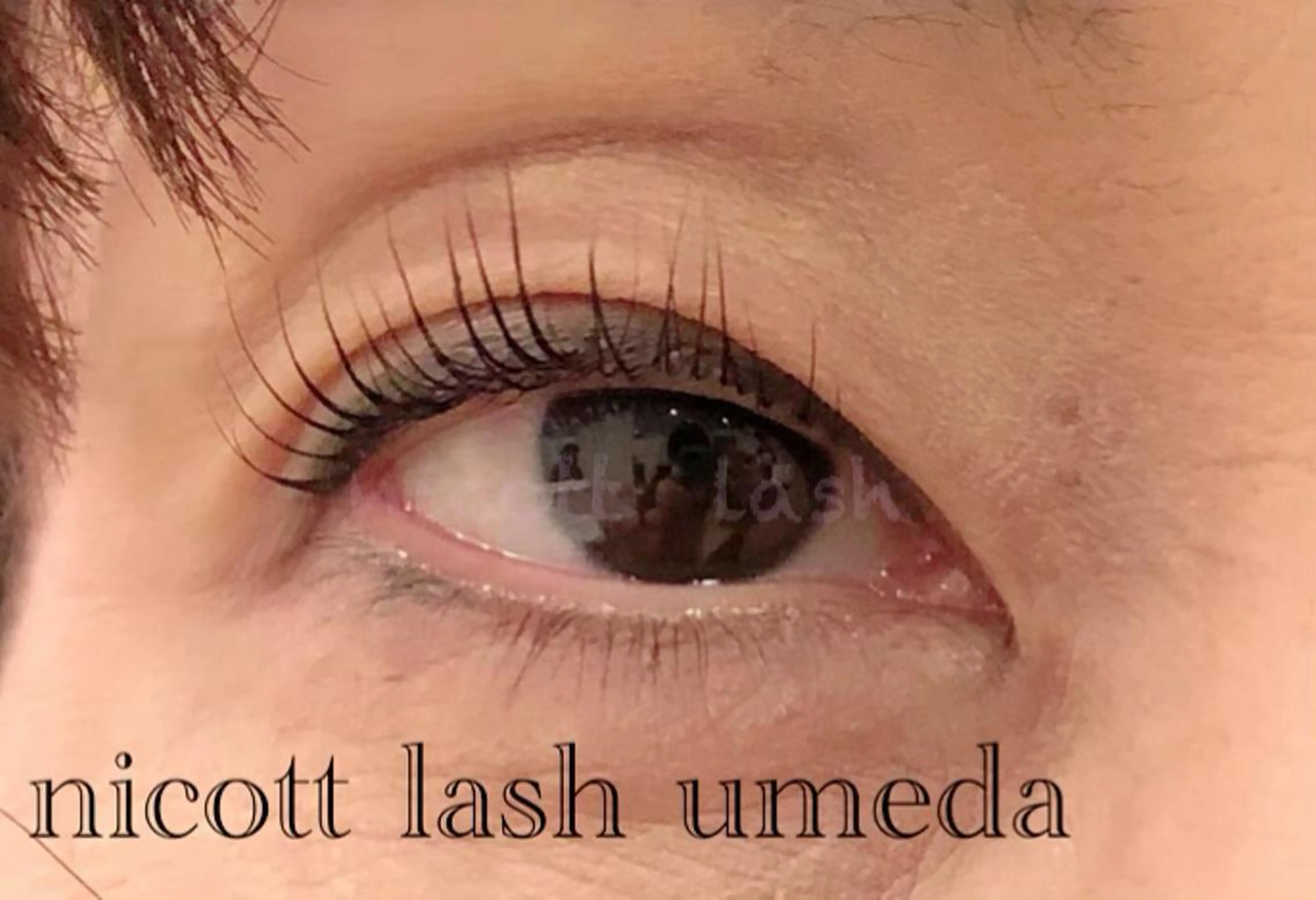 マツエク・マツパ パリジェンヌラッシュリフト サクラブロウ 大阪駅前第4ビルのマツエク・マツパデザイン