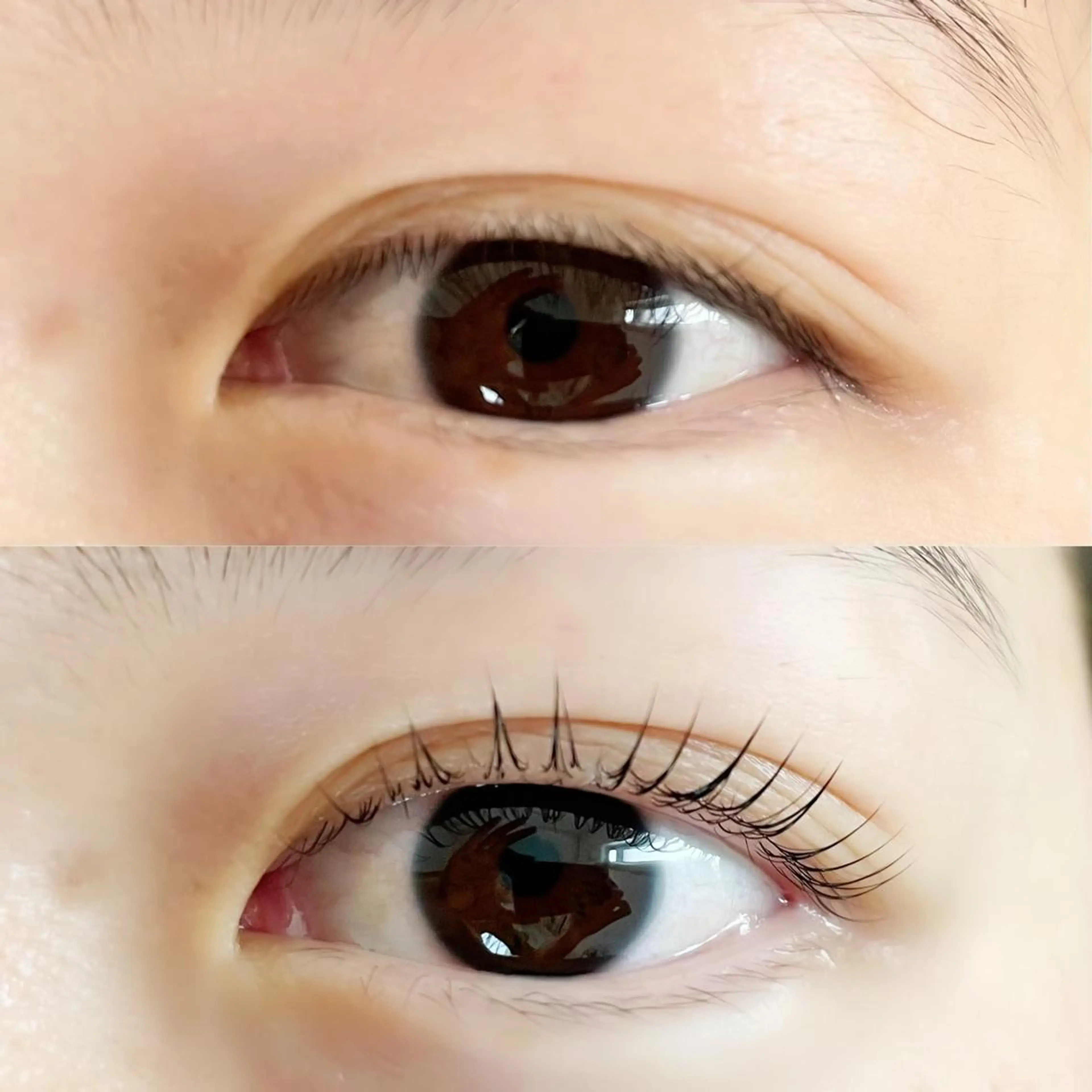 マツエク・マツパ まつげパーマ 堀田 あゆみ （アイリスト）のマツエク・マツパデザイン