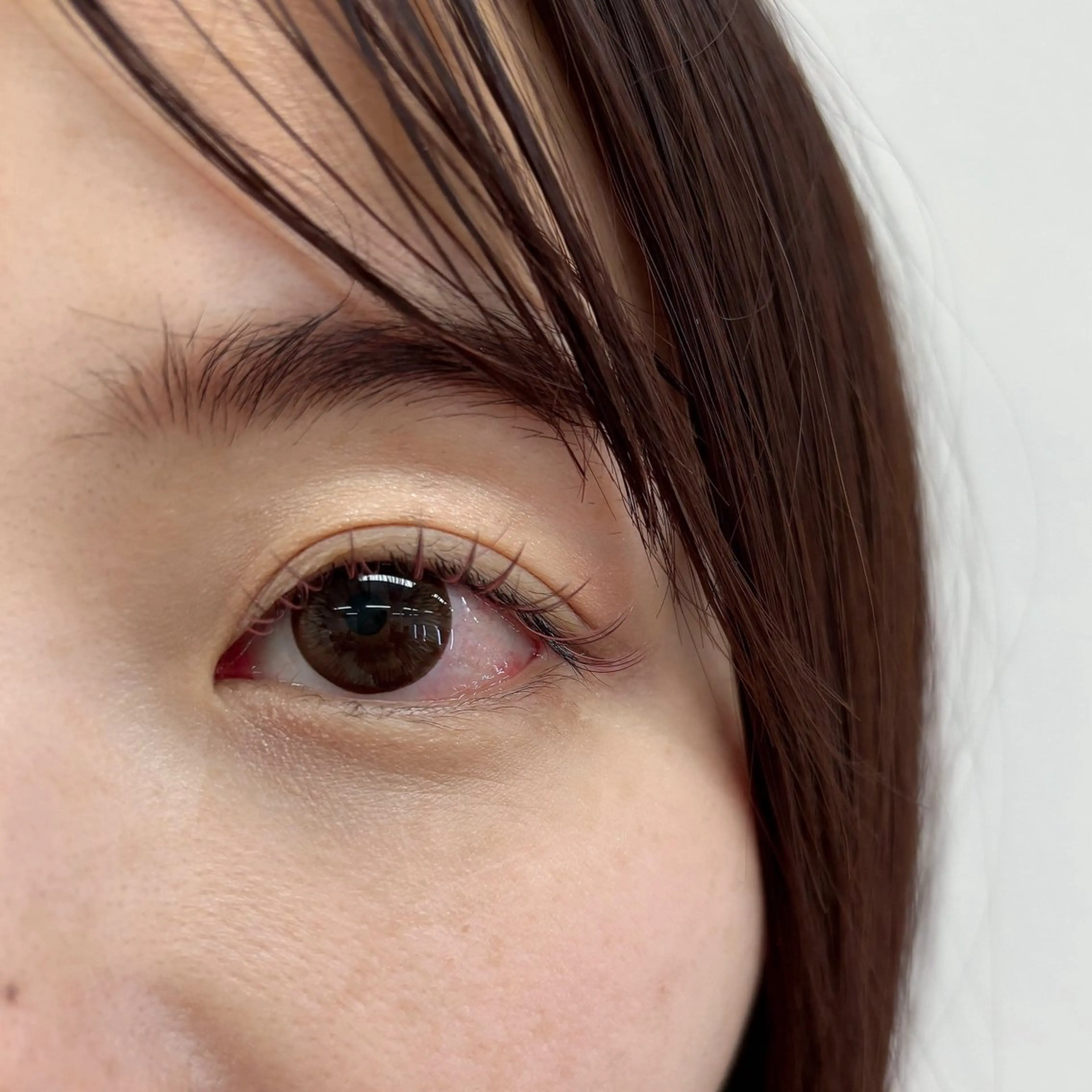 マツエク・マツパ カラーマツエク マツエク covo eyelash所属・covo 🐻の眉毛・アイブロウイメージ