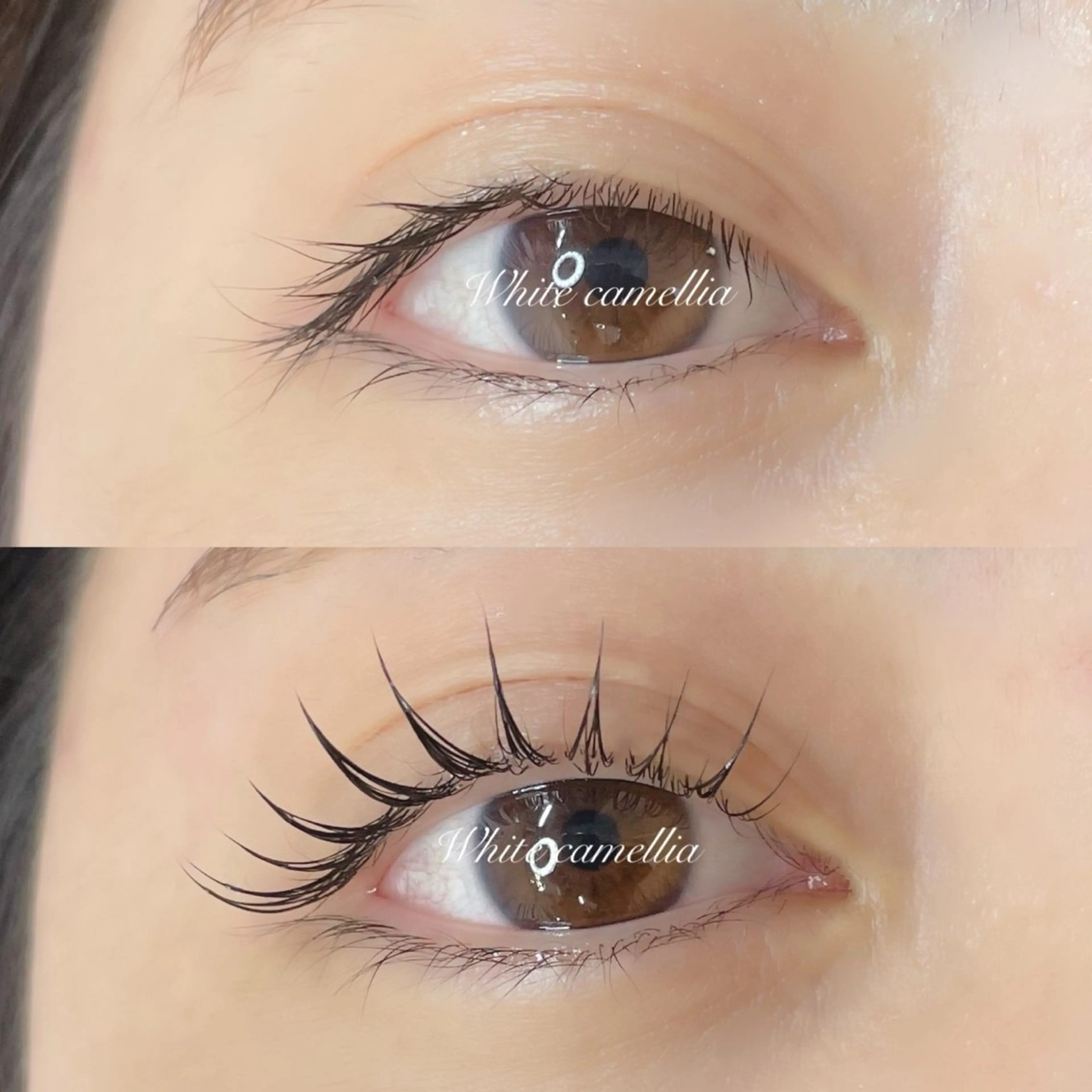 マツエク・マツパ White Camellia 上本町店所属・市山 姫華のマツエク・マツパデザイン