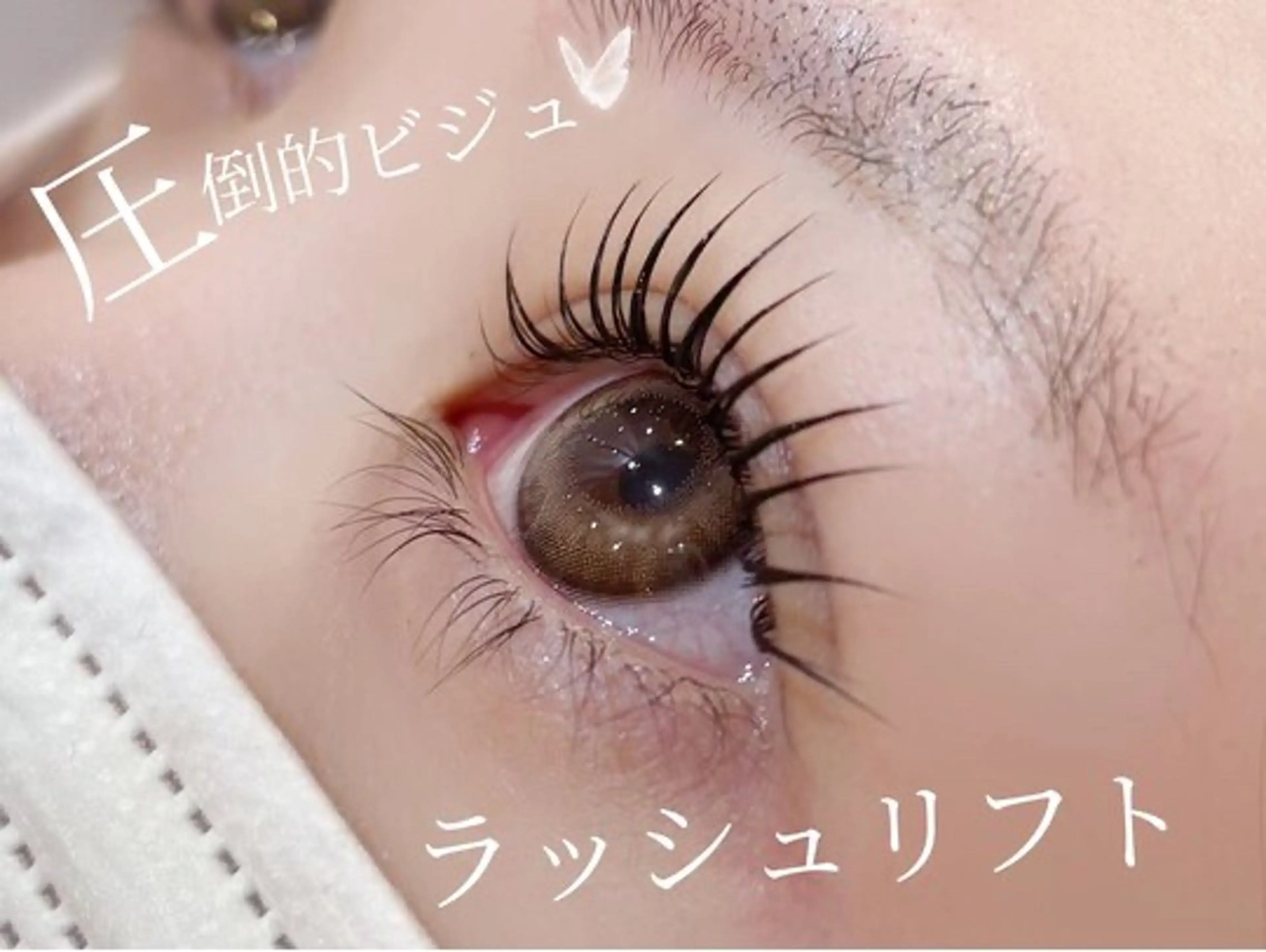 マツエク・マツパ LAYLA eyebrow&eyelash所属・LAYLA / Rinka 🩶のマツエク・マツパデザイン