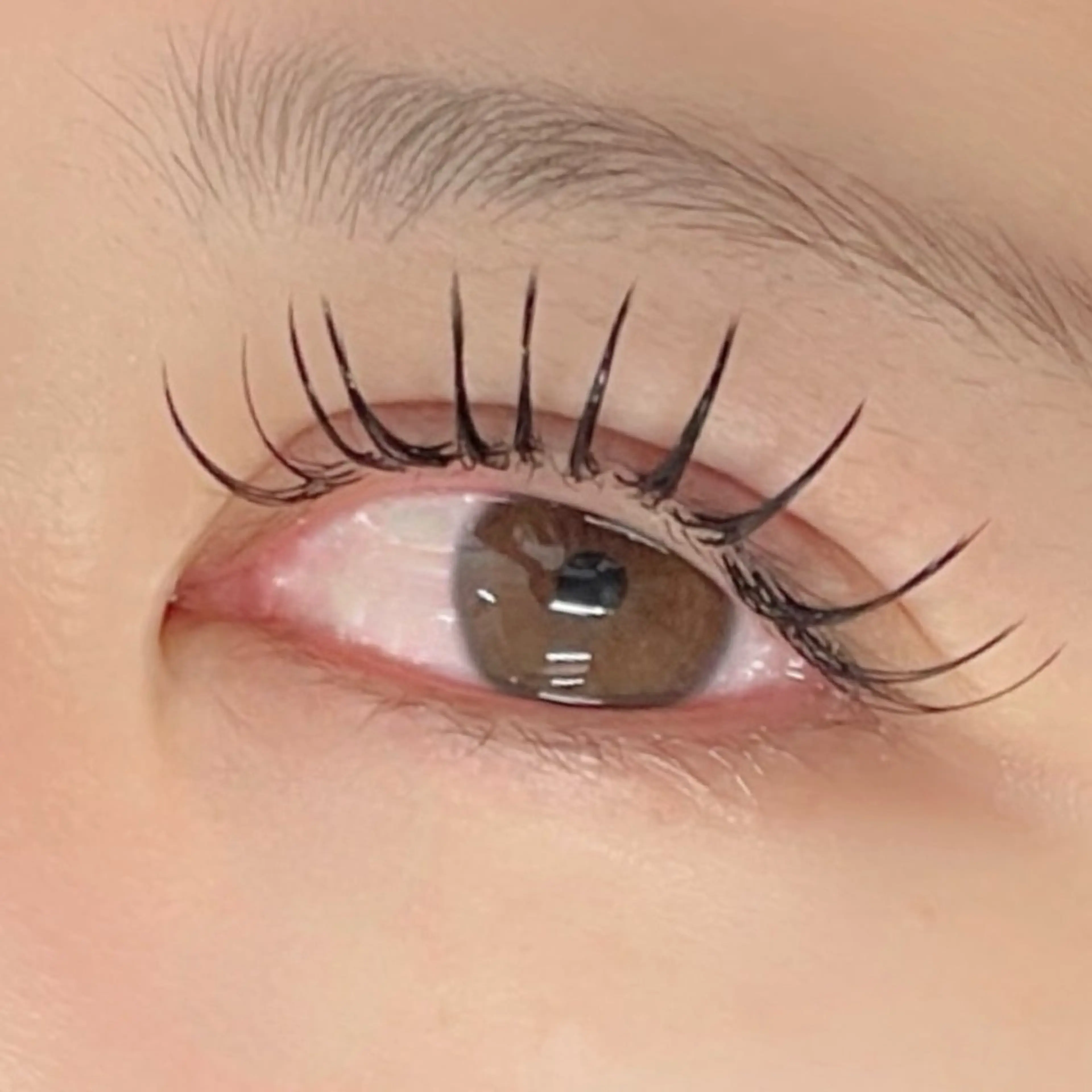 マツエク・マツパ ジュエル.《まつげ》 モデル様募集中のマツエク・マツパデザイン