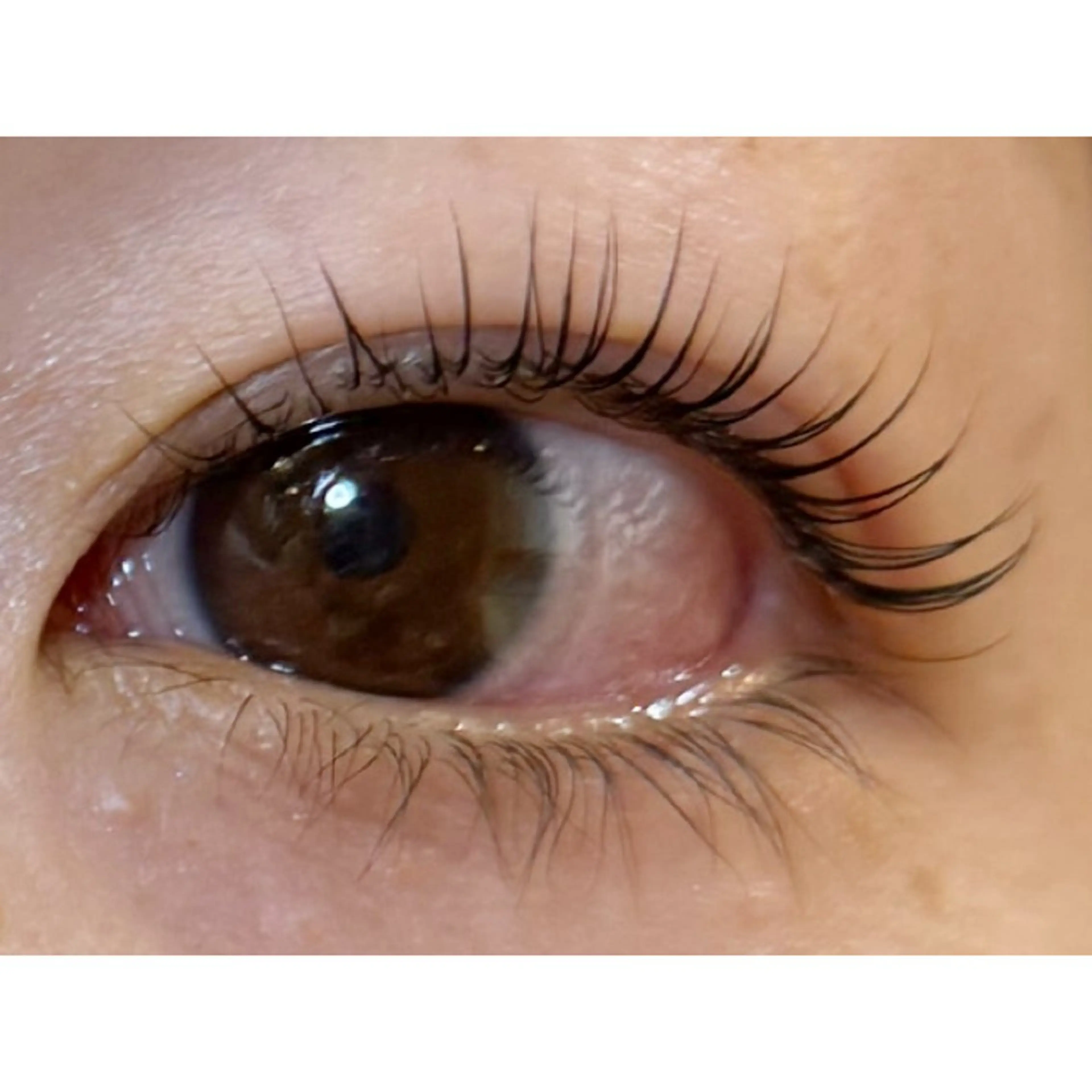 マツエク・マツパ マツパ アイラッシュサロンLuz町田店所属・Luz町田店 工藤のマツエク・マツパデザイン