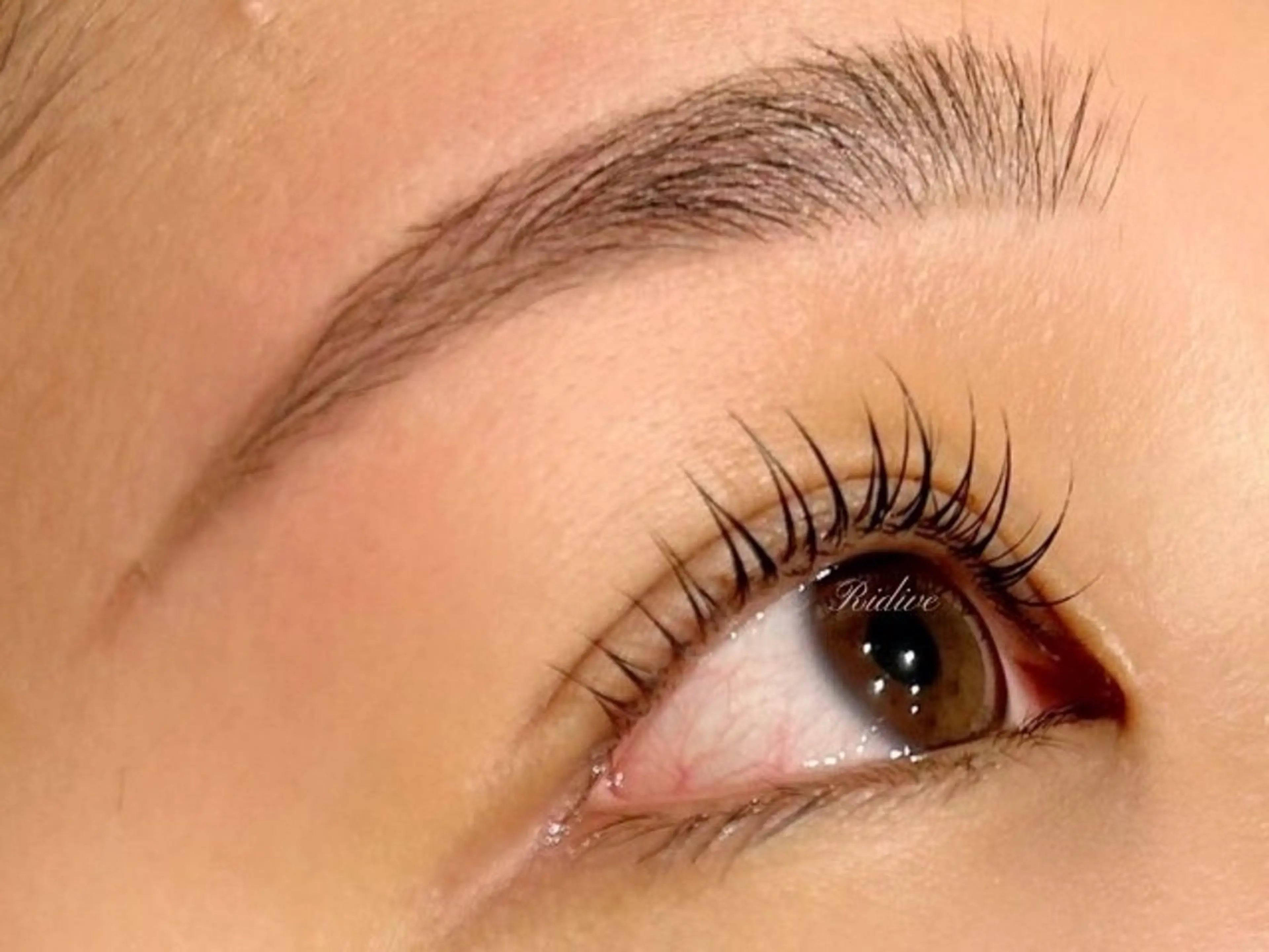 マツエク・マツパ アイブロウサロンRidive調布所属・Ridive 調布店 / Ayanaの眉毛・アイブロウイメージ