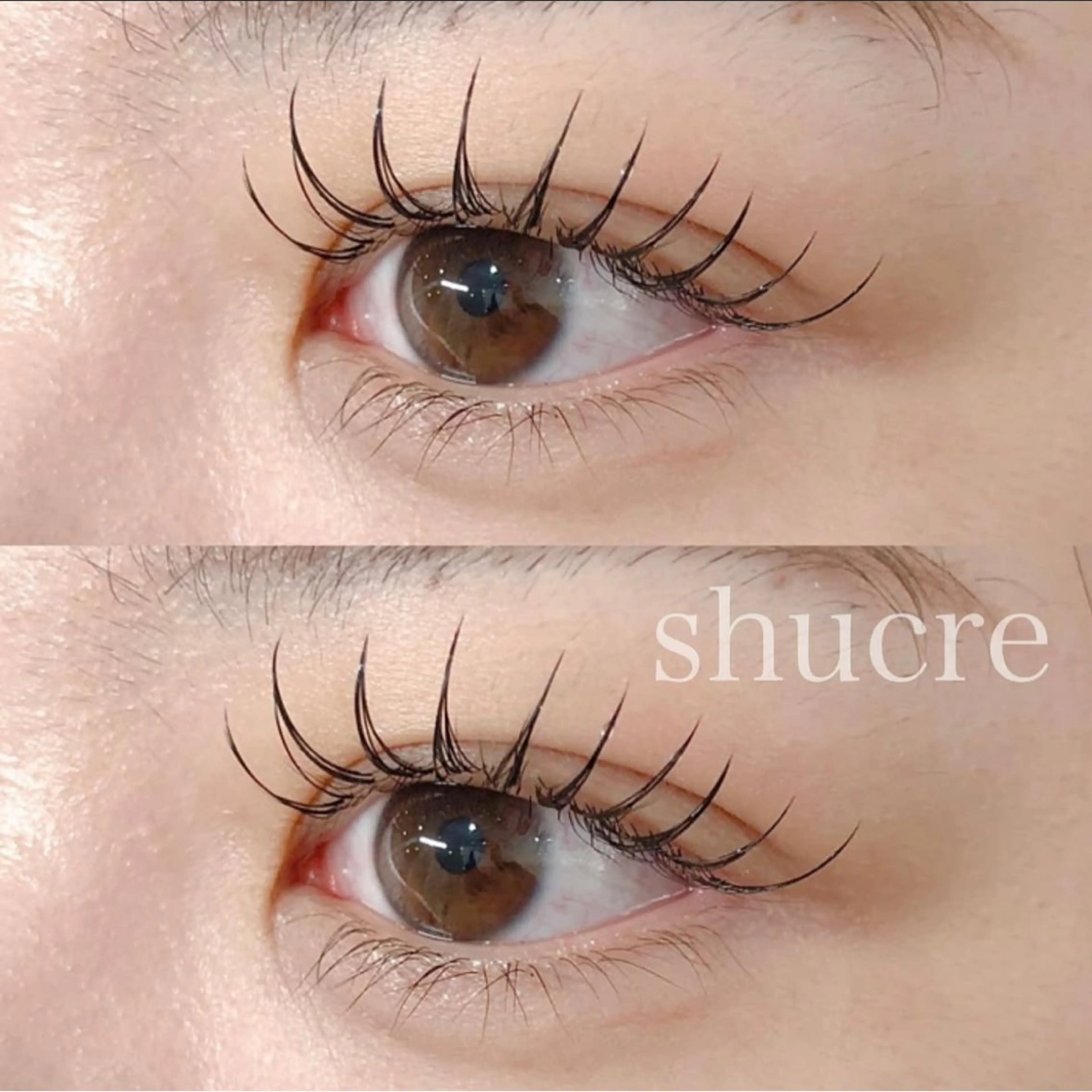 マツエク・マツパ shucre豊田店 💚sakiのマツエク・マツパデザイン