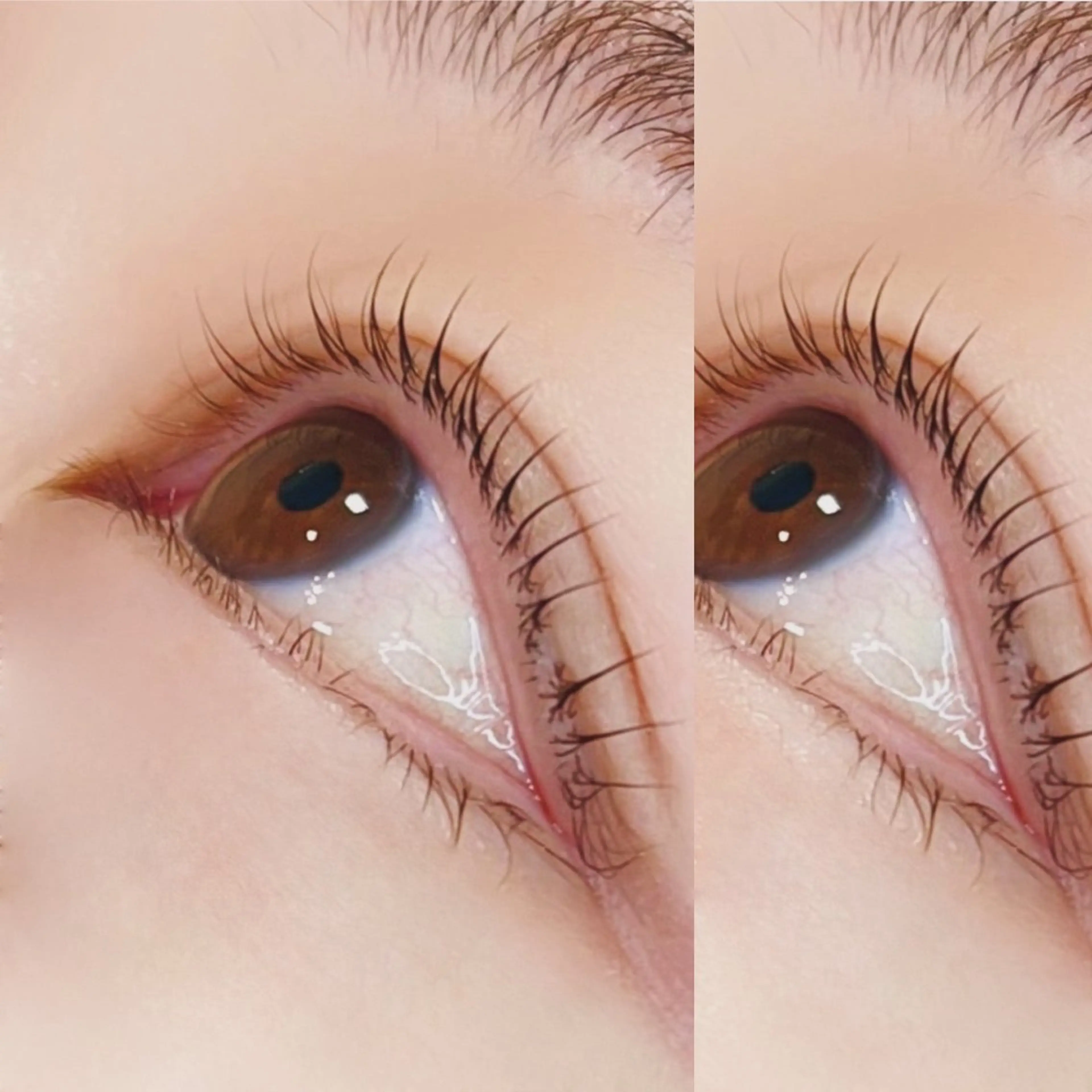 マツエク・マツパ ナチュラル マツパ torie川越 🦋RIN🦋のマツエク・マツパデザイン