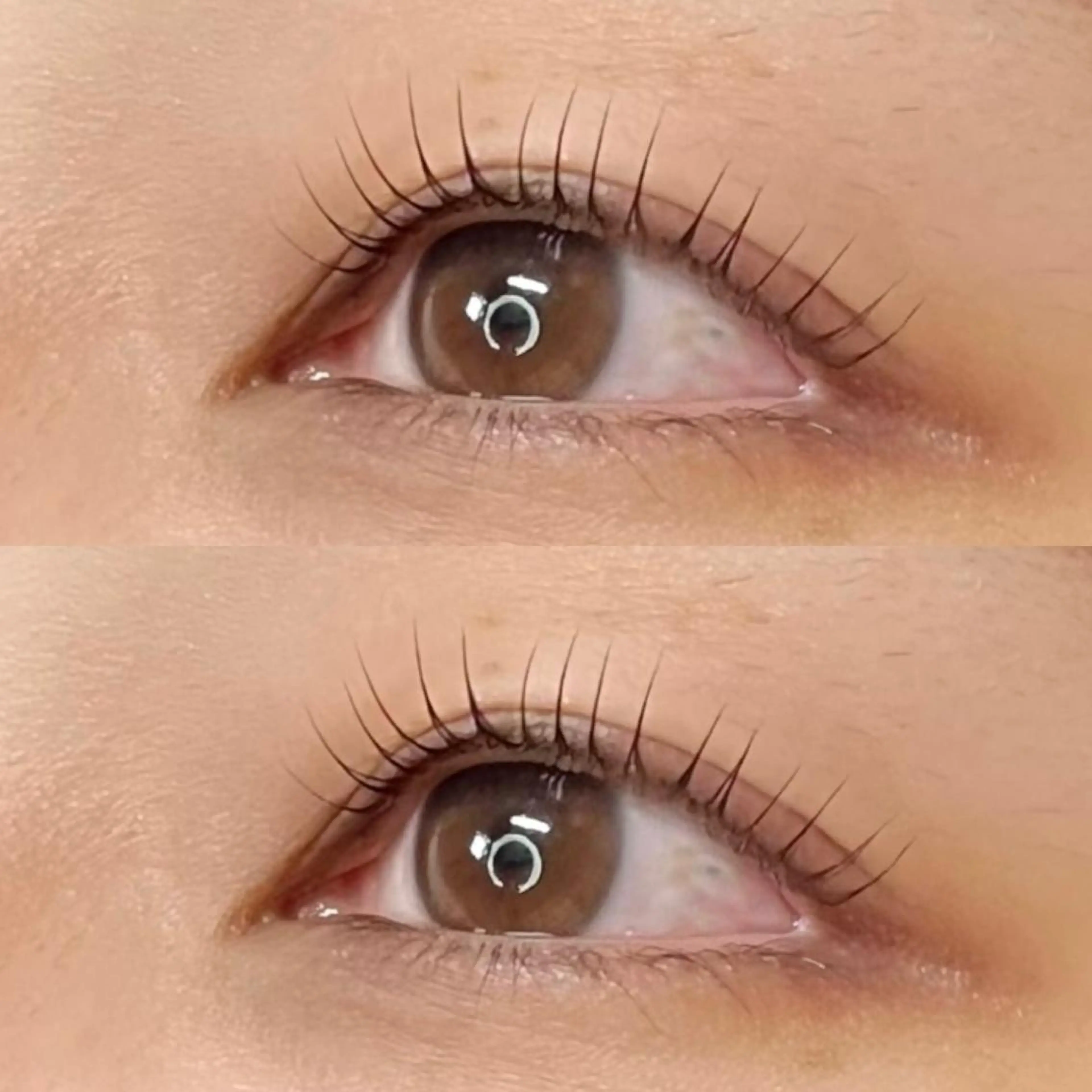 マツエク・マツパ Madonna Lilyのマツエク・マツパデザイン