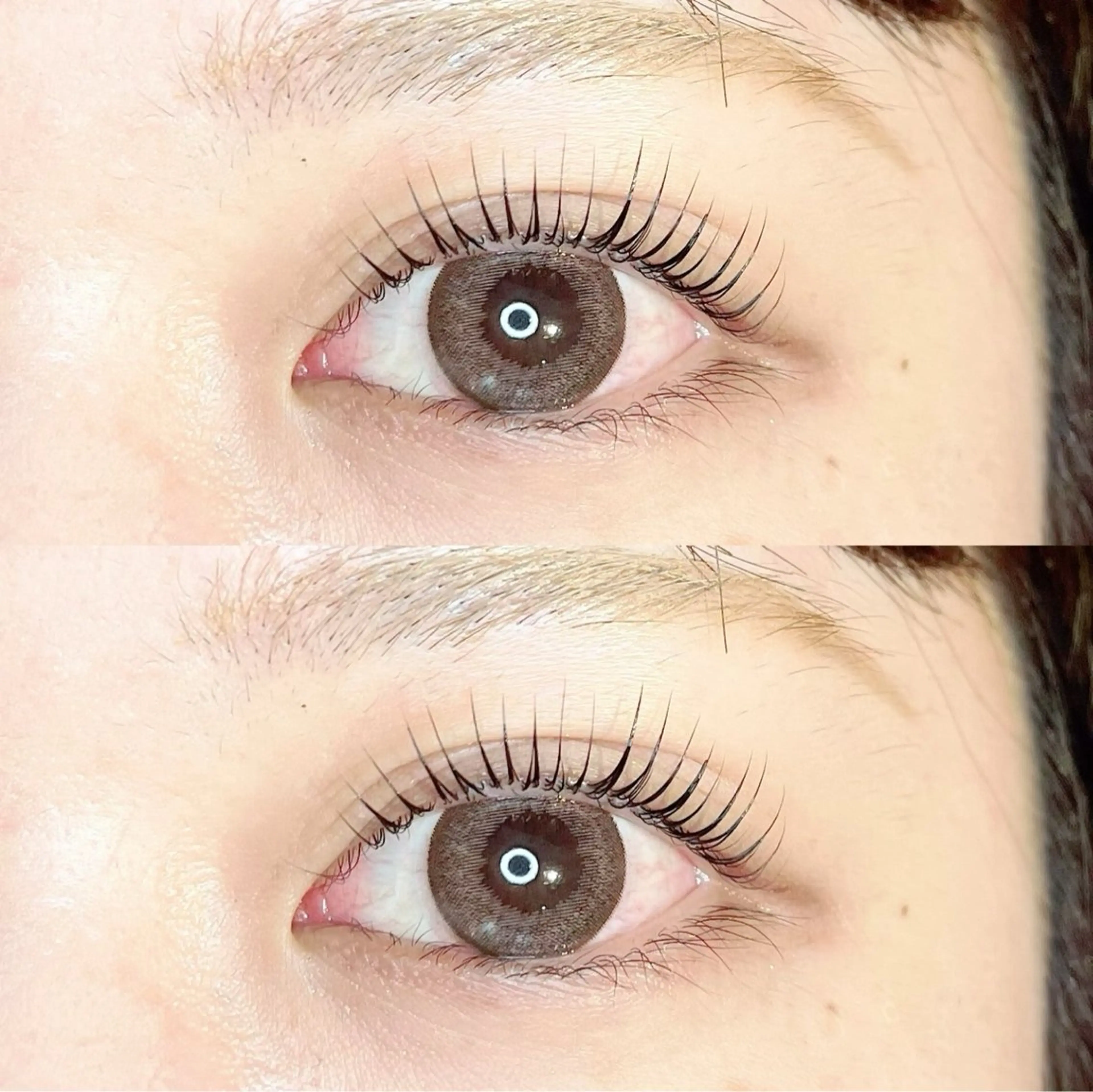 【💗当日予約限定💗】パリジェンヌorラッシュリフトの写真