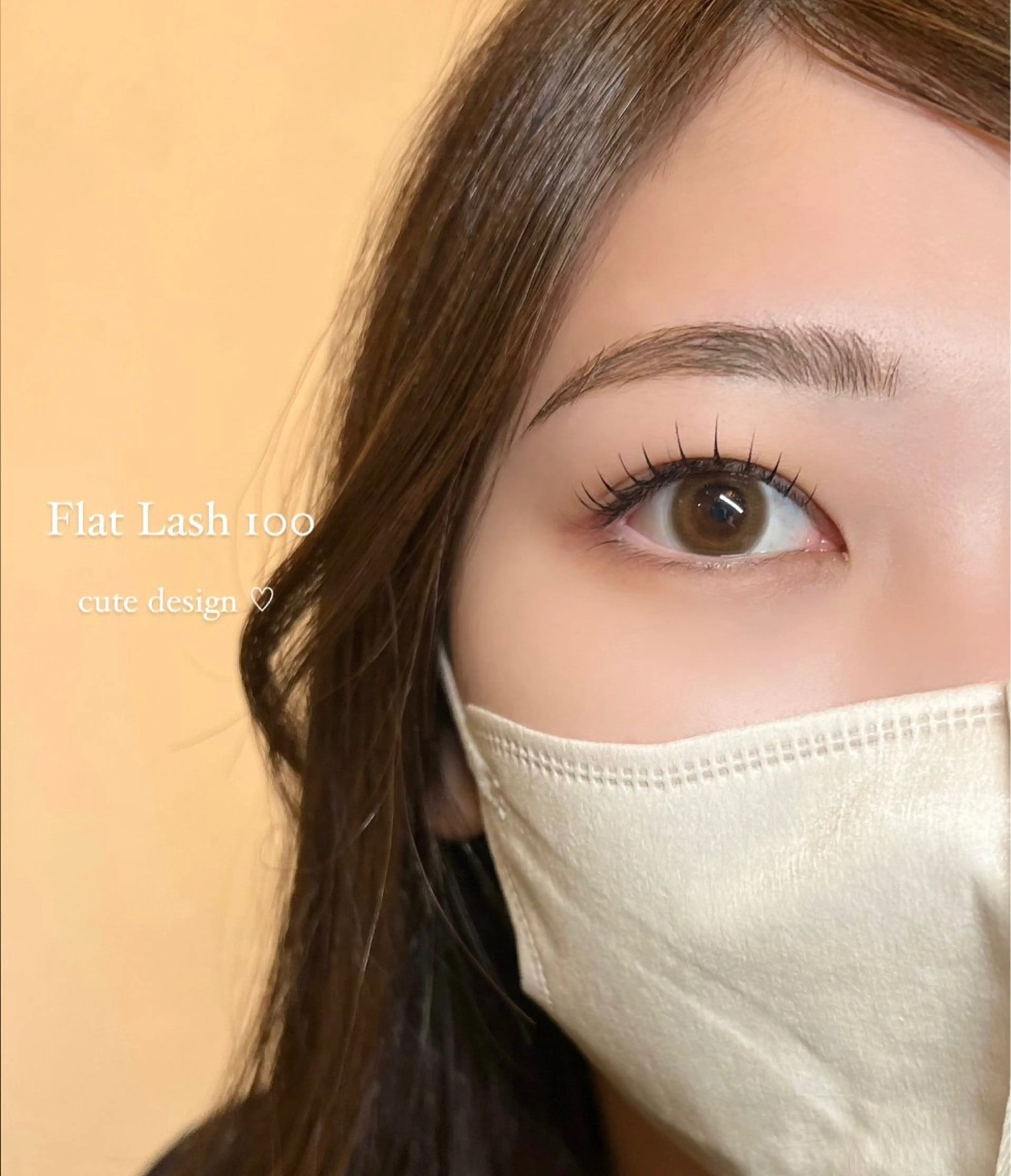 フラットラッシュ 100本 👀❕✨(オフなし)の写真