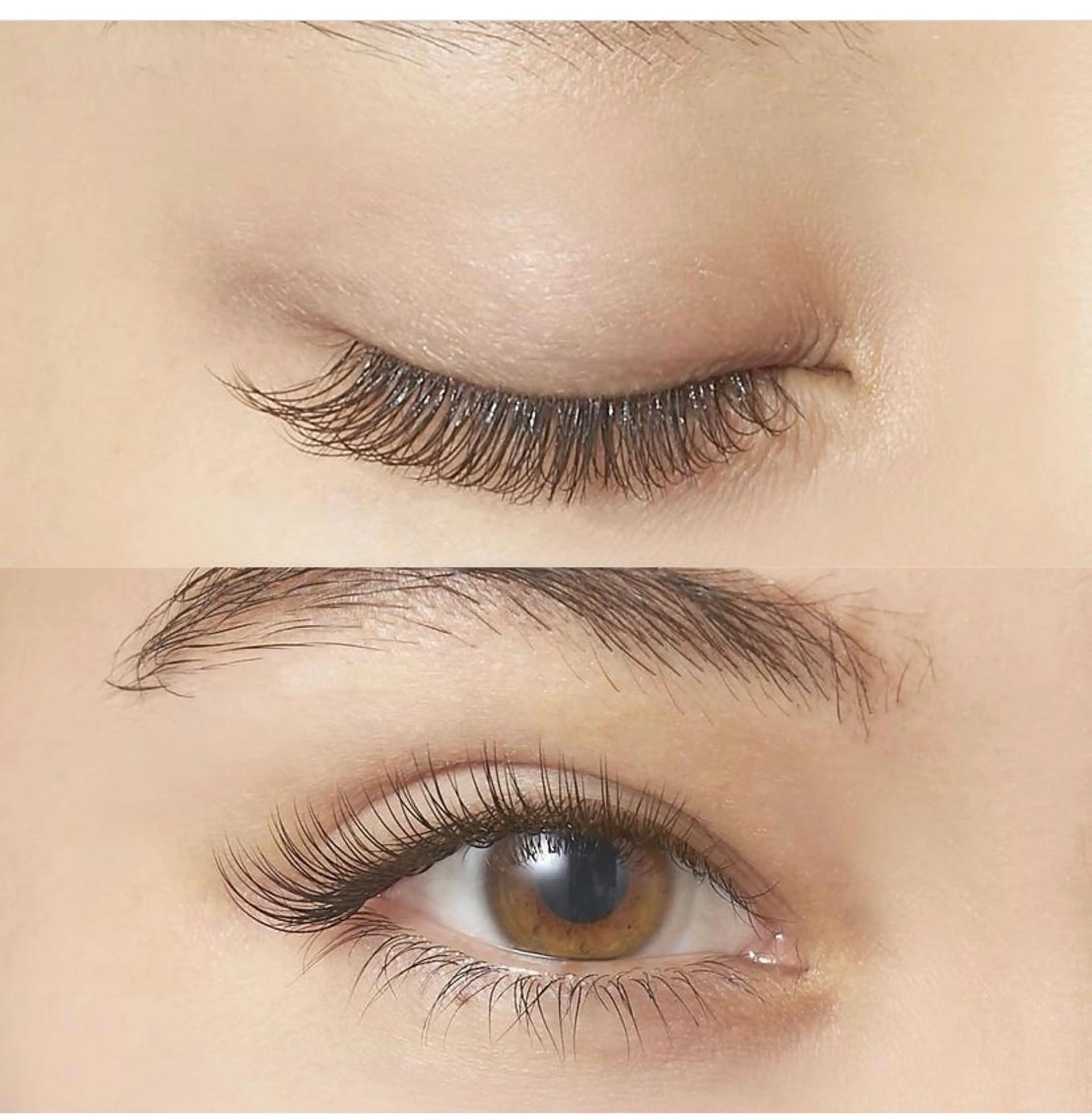 マツエク・マツパ まつげパーマ セーブル H. Yurinaの眉毛・アイブロウイメージ