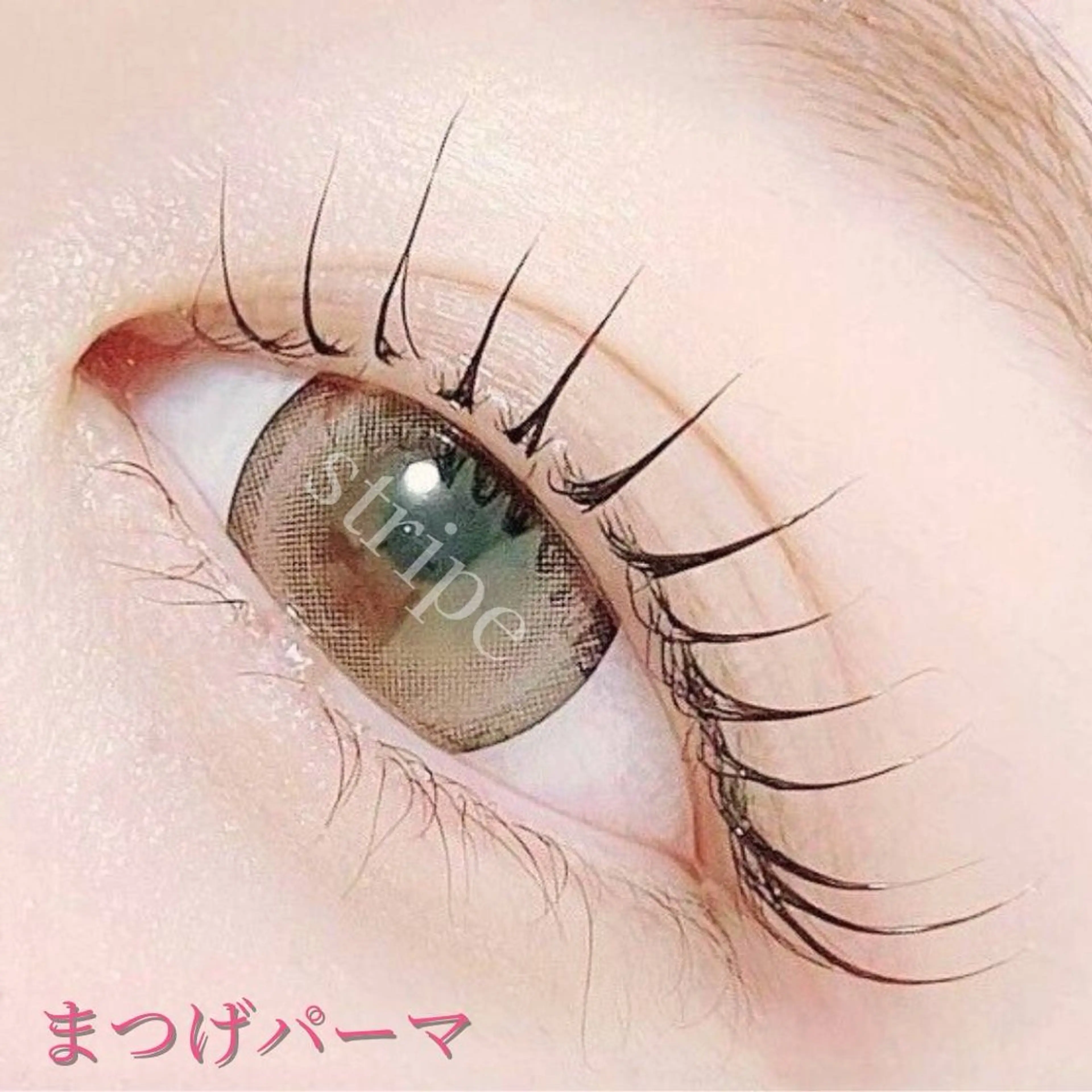 まつげパーマ(トリートメント付)の写真