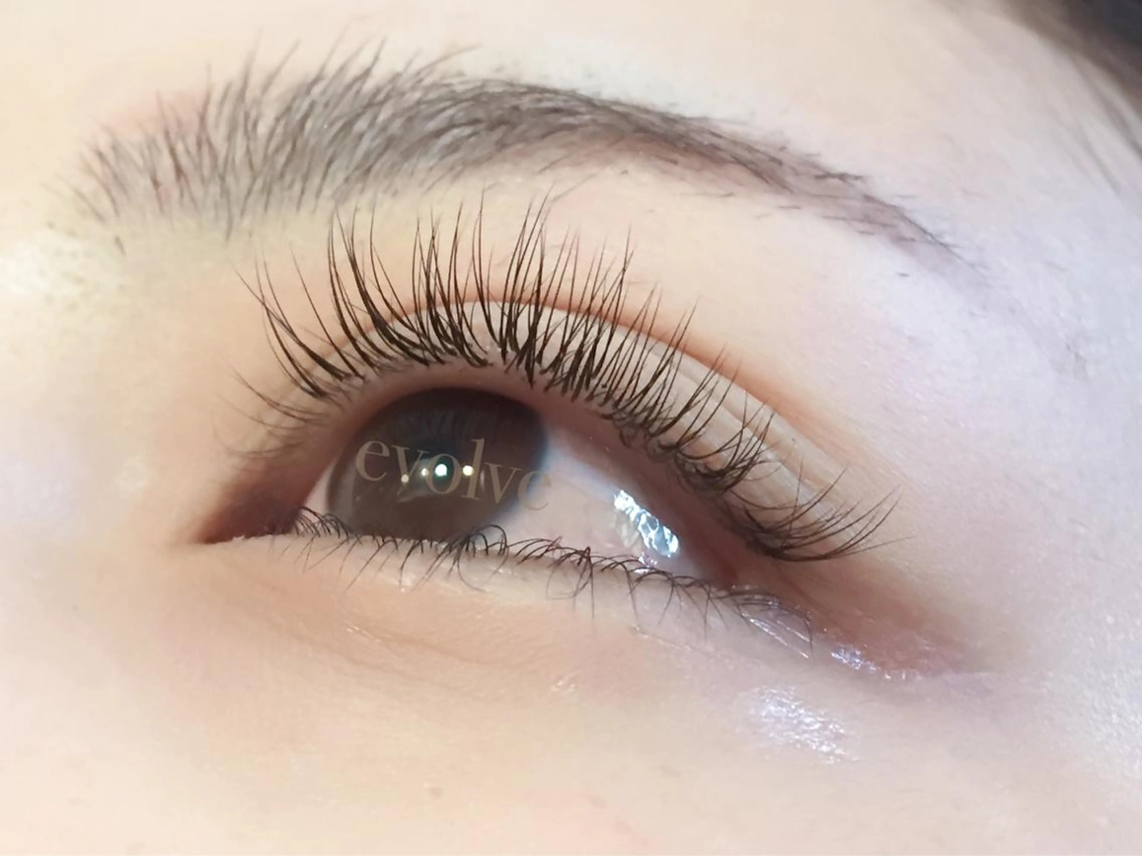 マツエク・マツパ Cカール evolve by TypeAB所属・evolve  by TypeABのマツエク・マツパデザイン