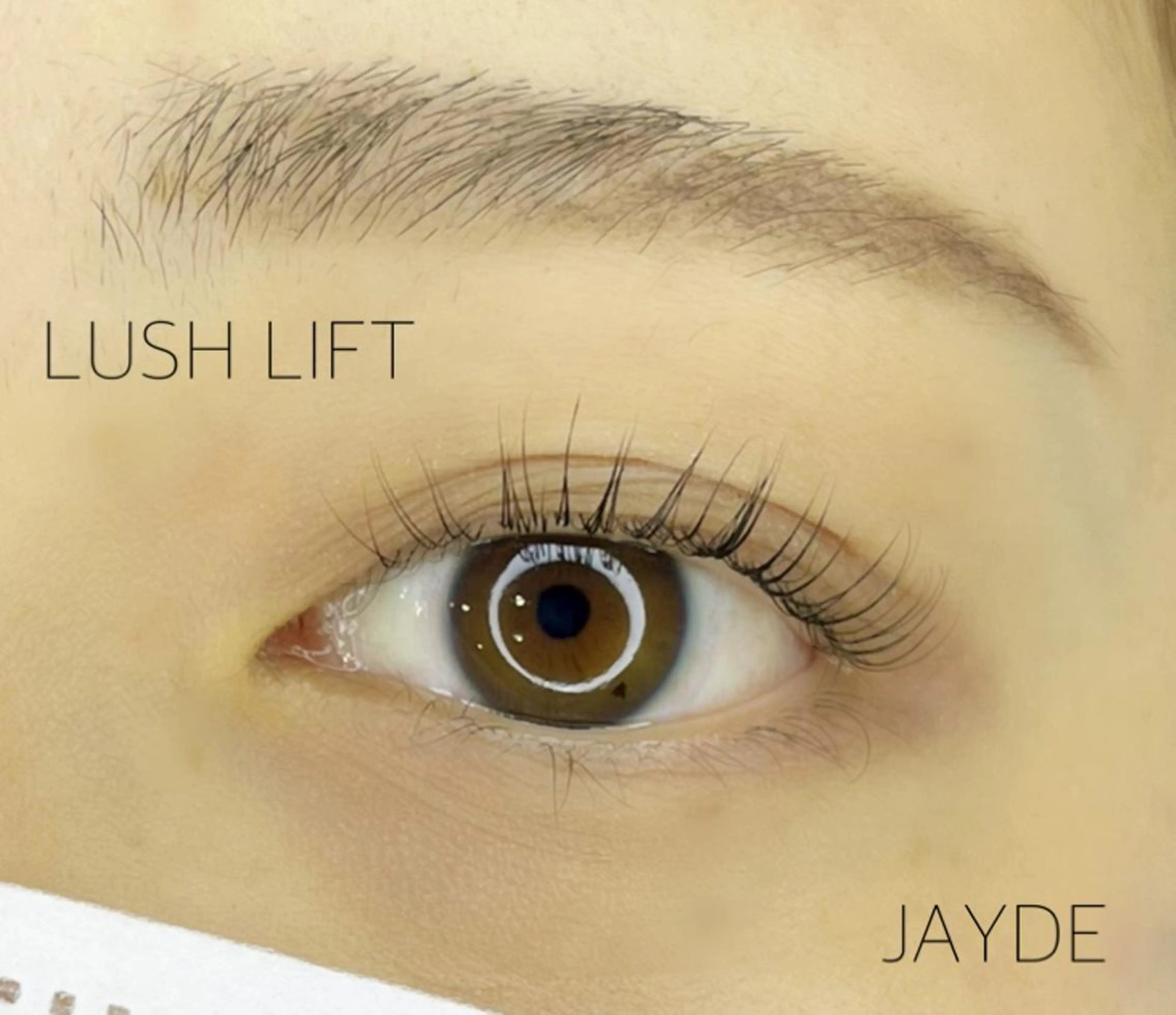 マツエク・マツパ JAYDE ジェイドのマツエク・マツパデザイン