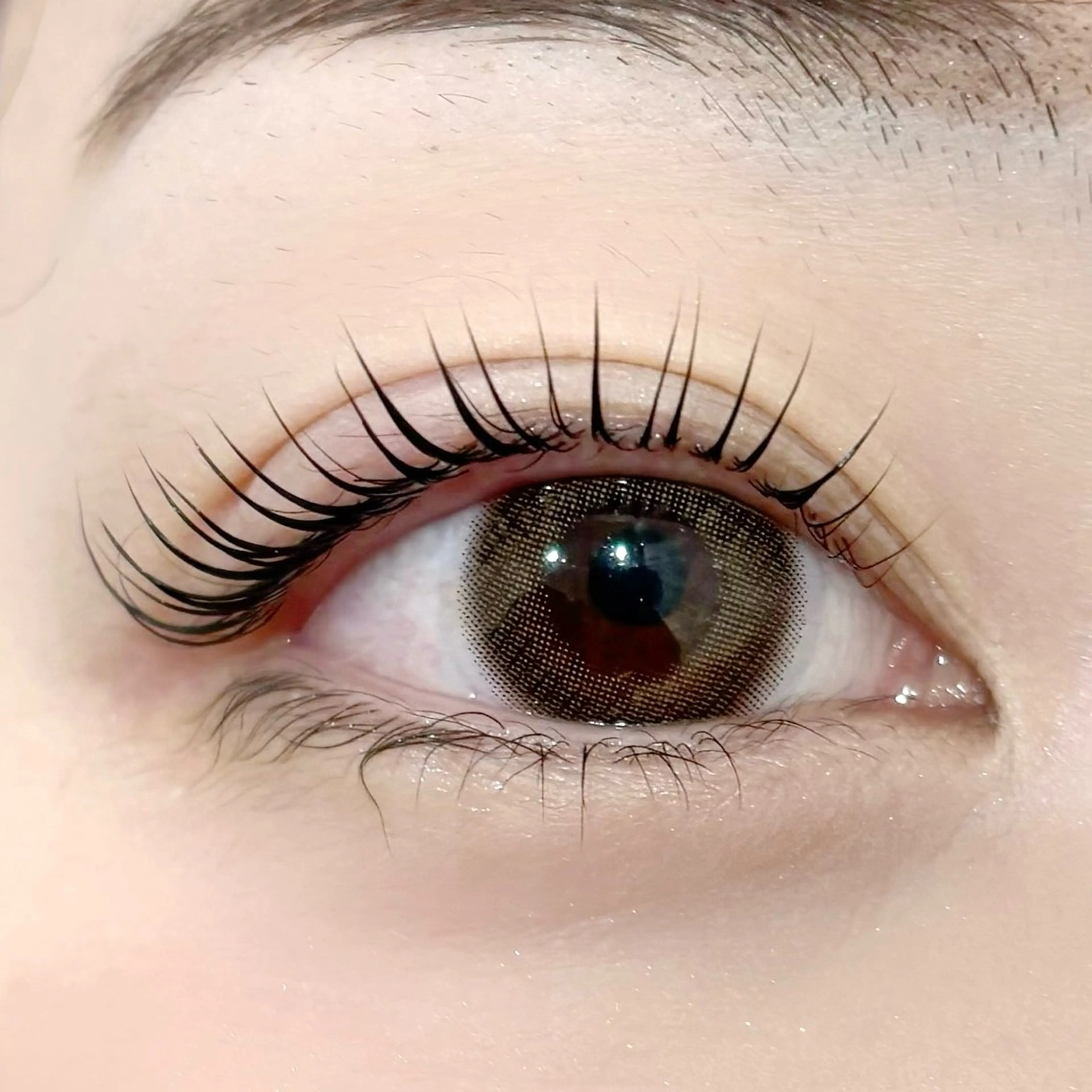 《新技術まつ毛パーマ》韓国BLACKマスカラパーマ🦋の写真