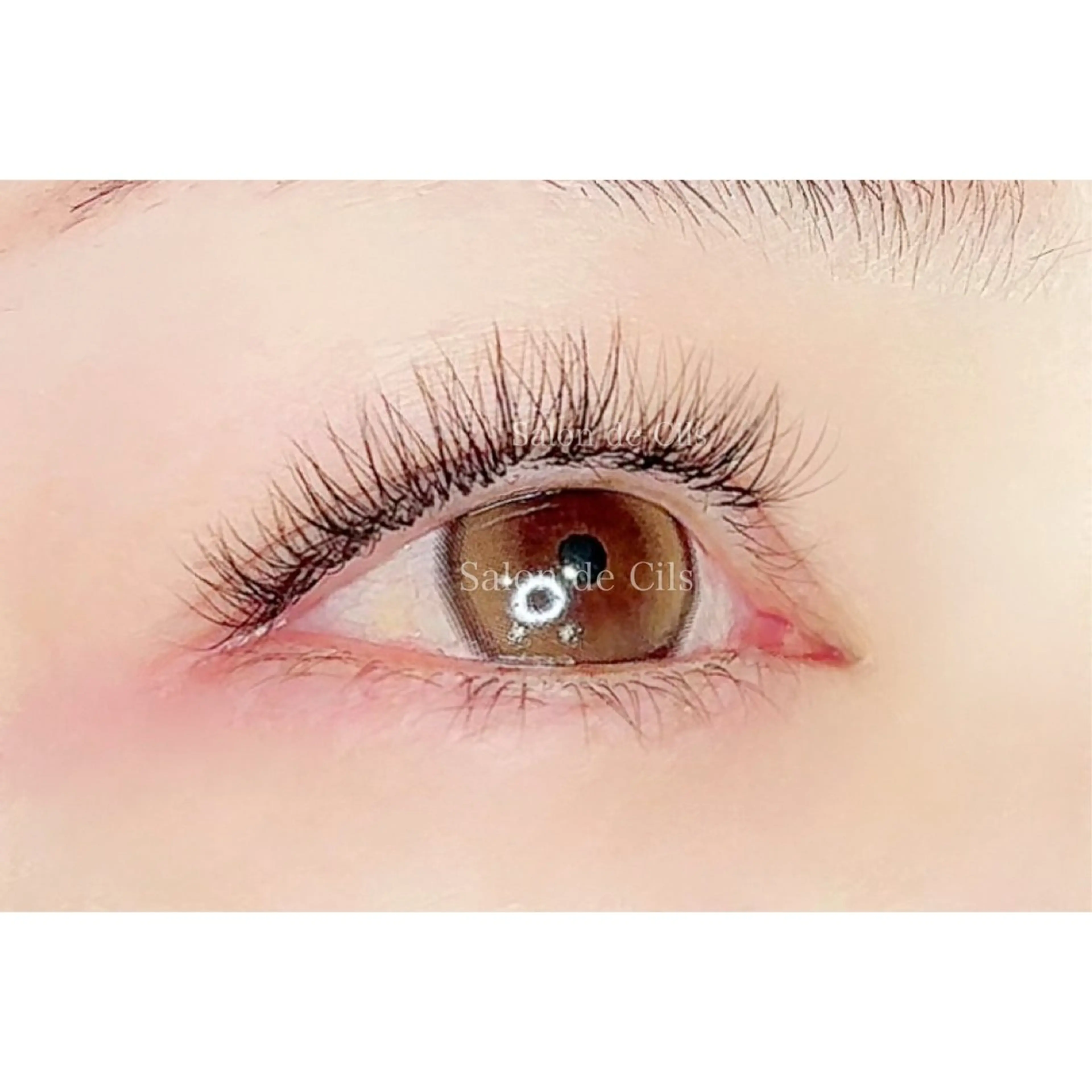 ボリュームラッシュ300本　(LEDエクステにする場合は1500円追加で可能！)の写真