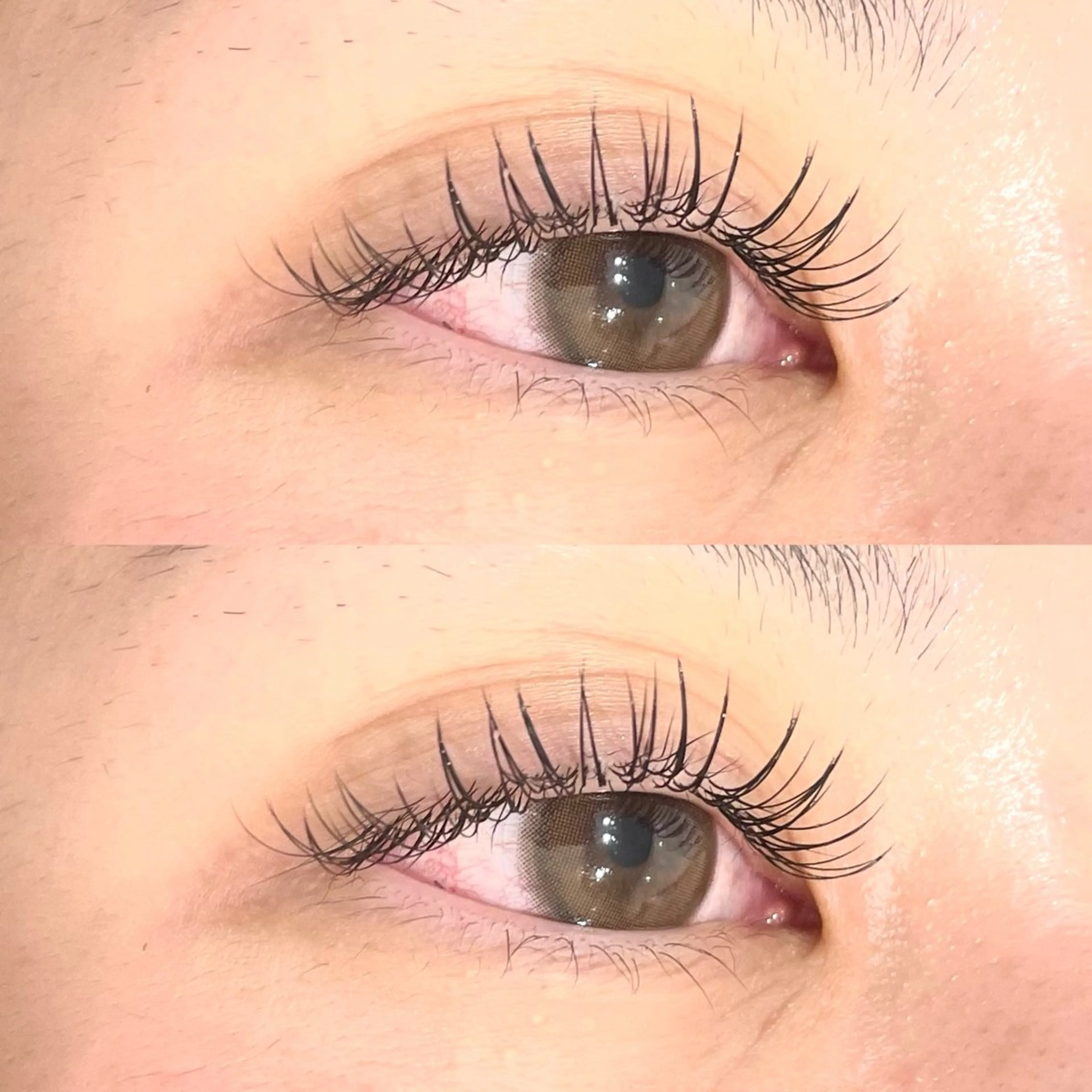 マツエク・マツパ フラットラッシュ Le Riad 今井田/栄駅徒歩1分のマツエク・マツパデザイン