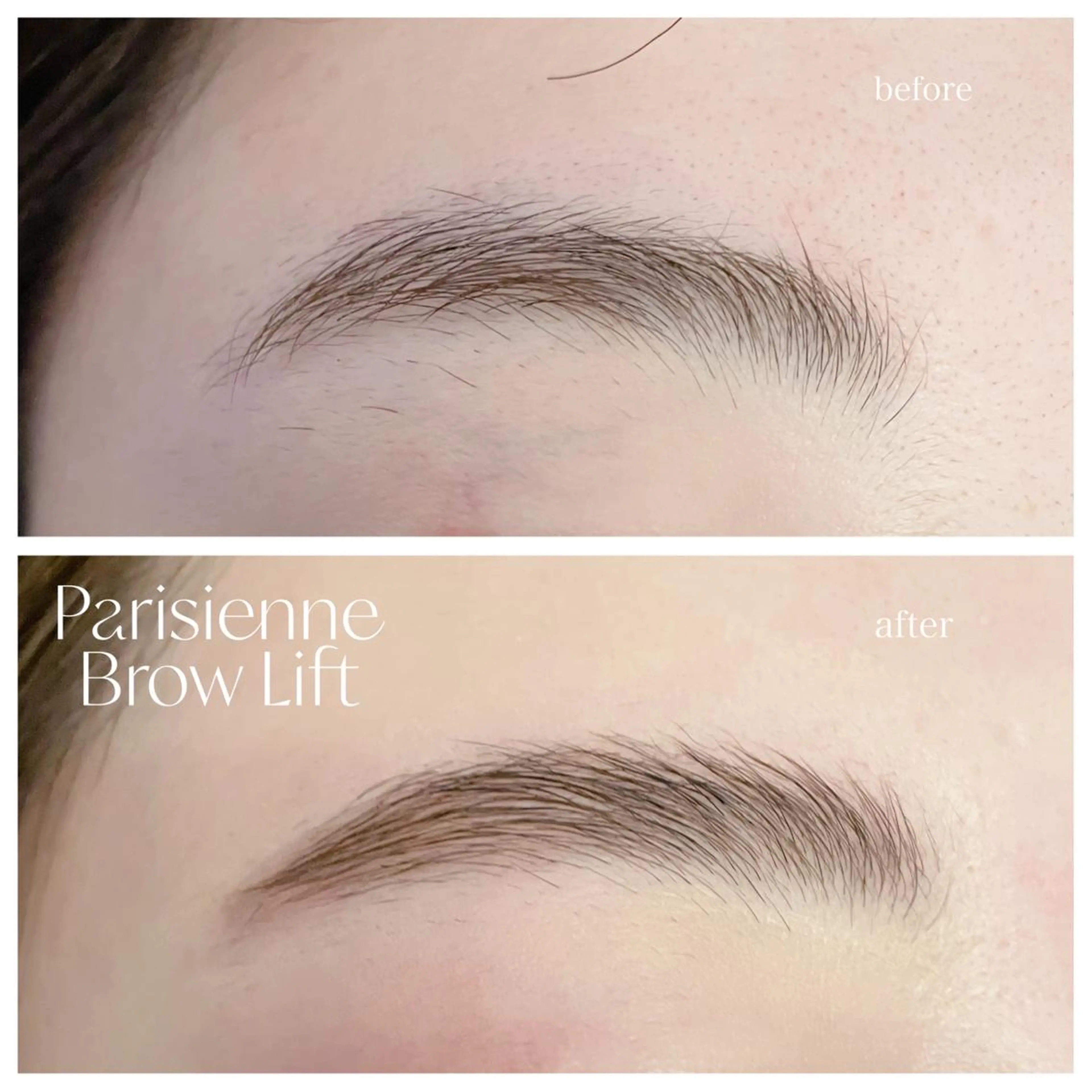 アイブロウ ワックス脱毛 その他(アイブロウ) ｍｉｐｐｙ 🪽のマツエク・マツパデザイン